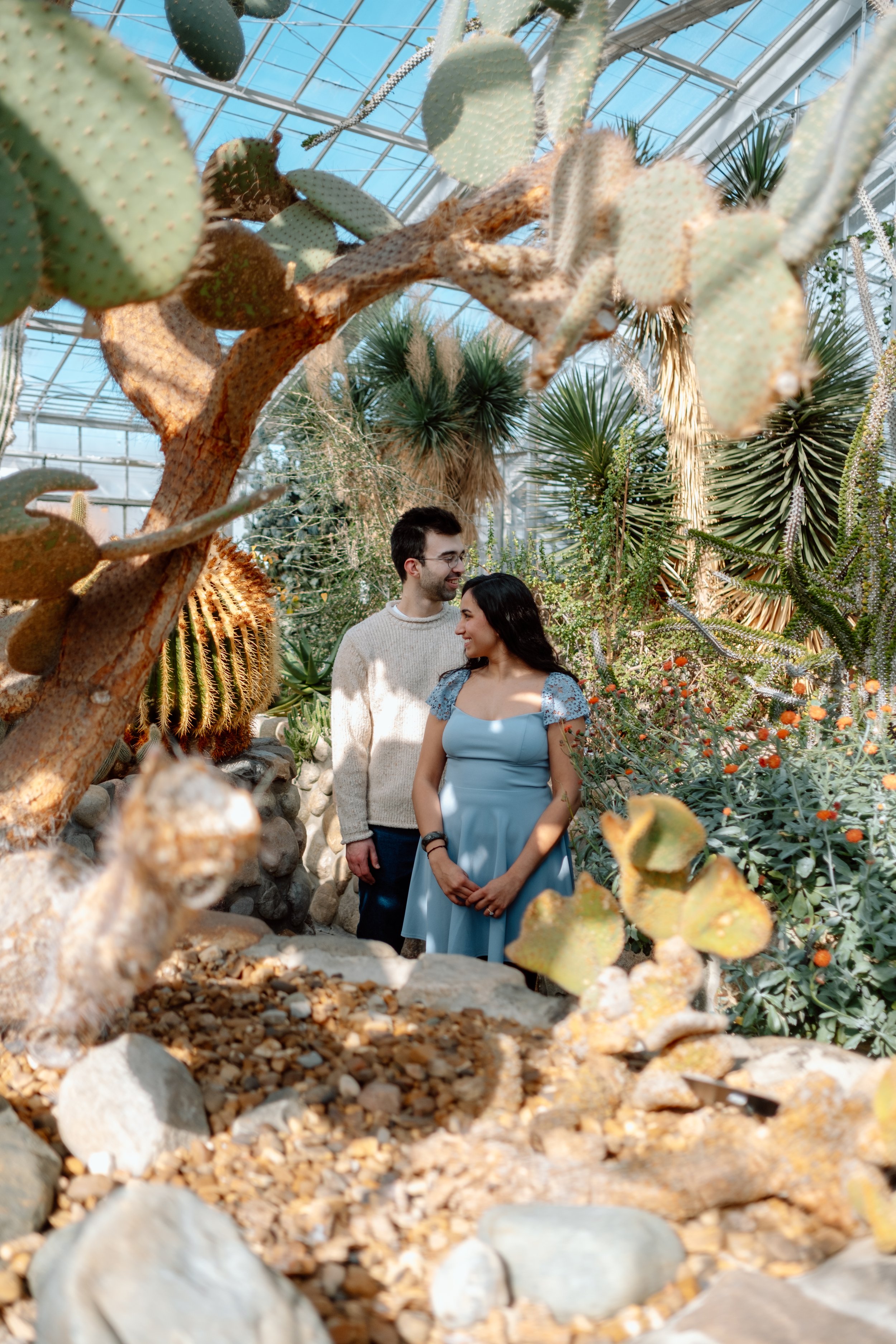 A couple smiling and looking at each other inside a glass greenhouse with various cacti and succulents surrounding them.