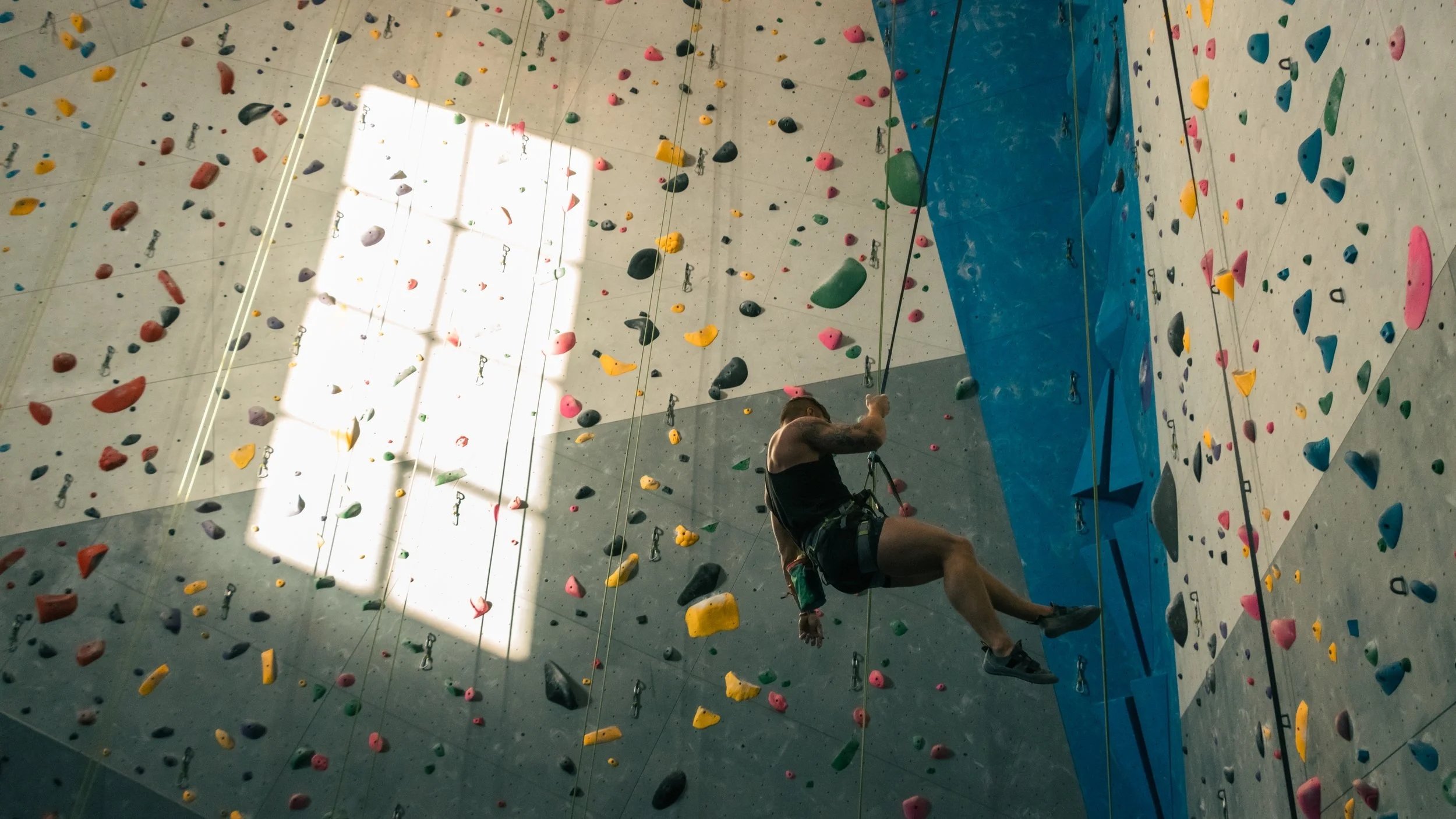 McFaul_Camille_FreestoneClimb4.jpg
