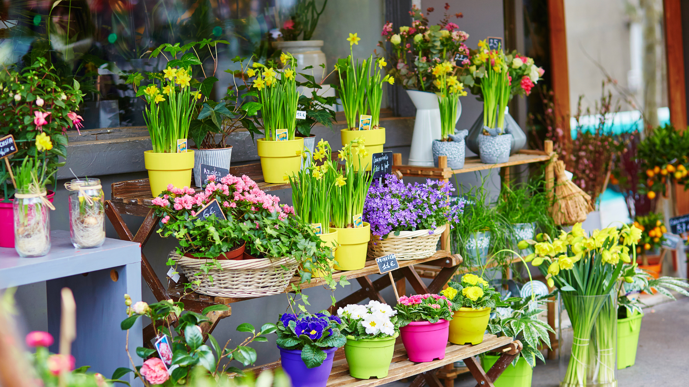 Summer Marketing Ideas for Small Businesses