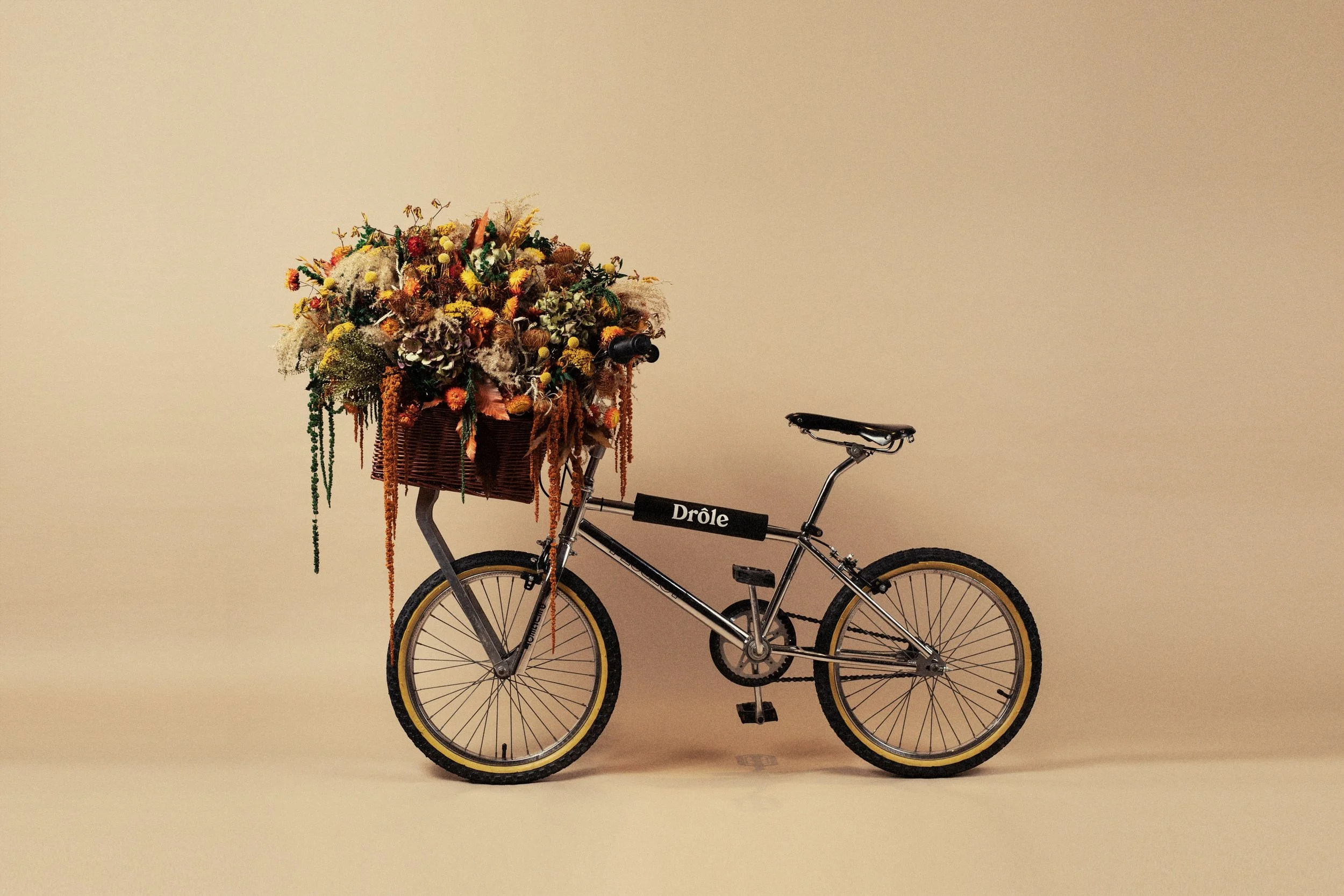Photo de vélo.jpg