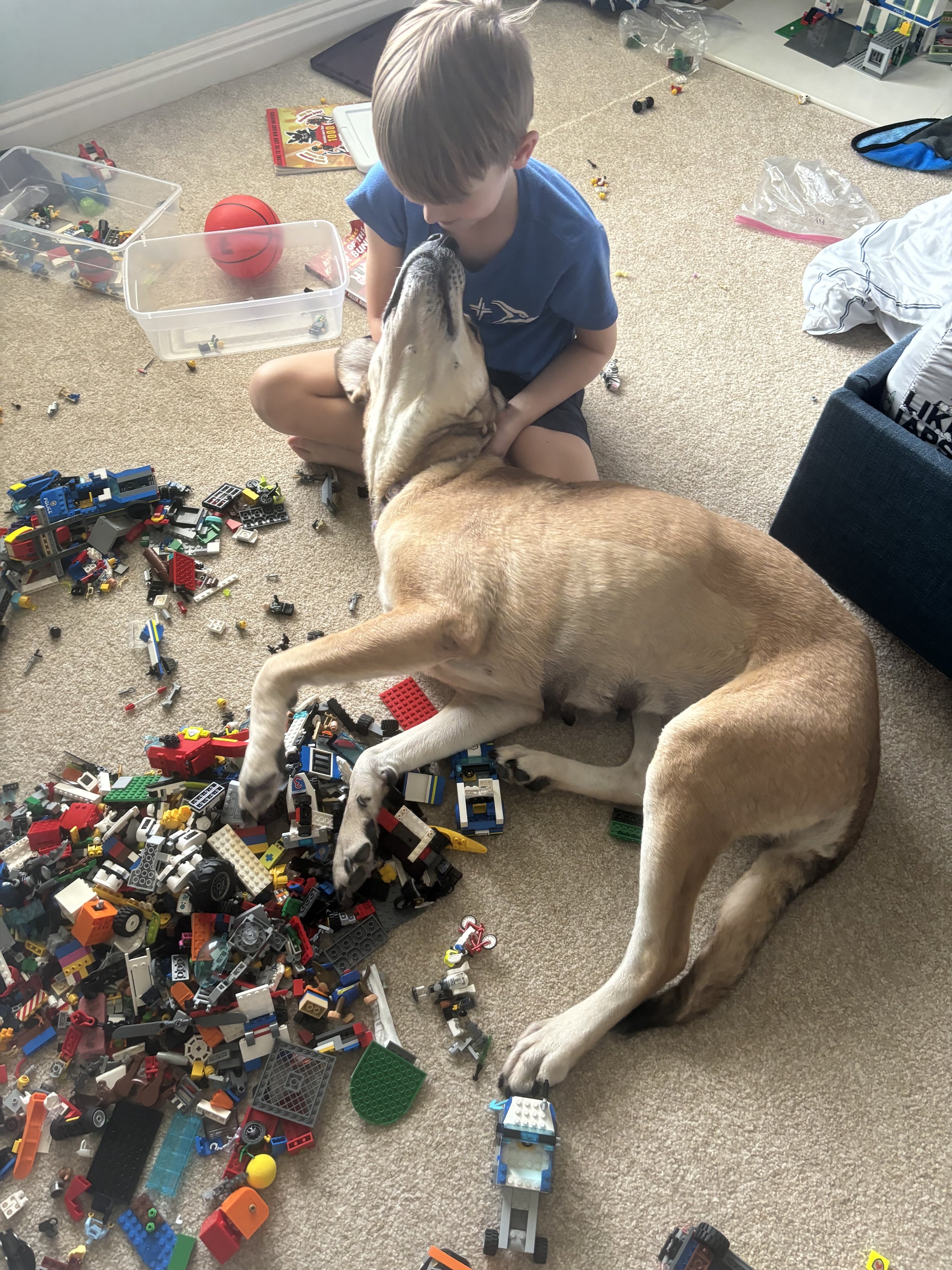 IMG_0429.jpeg