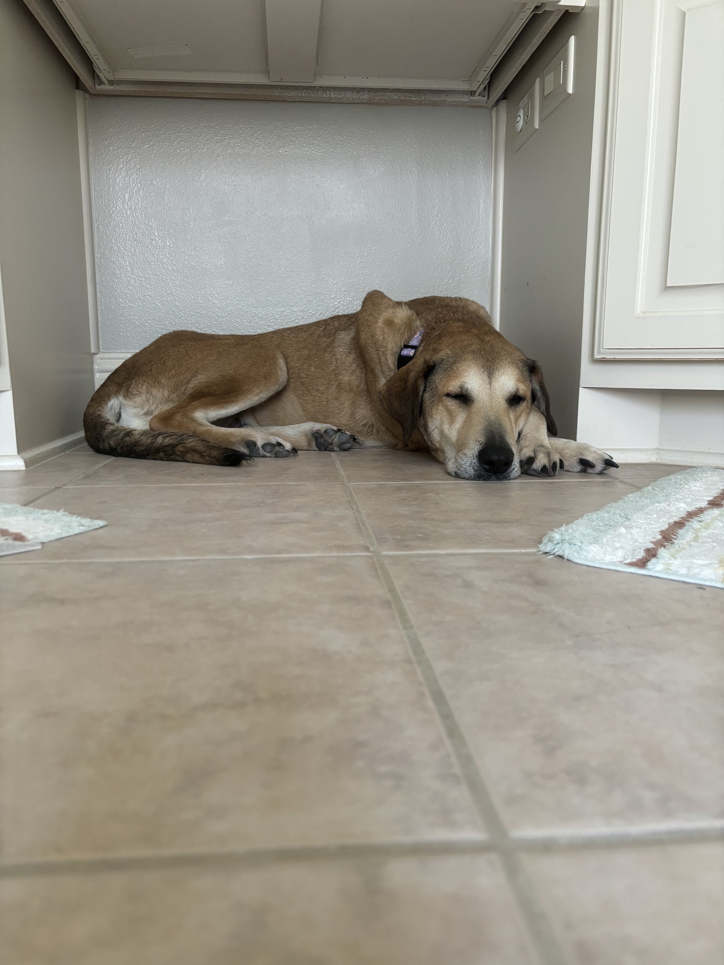 IMG_0389.jpeg