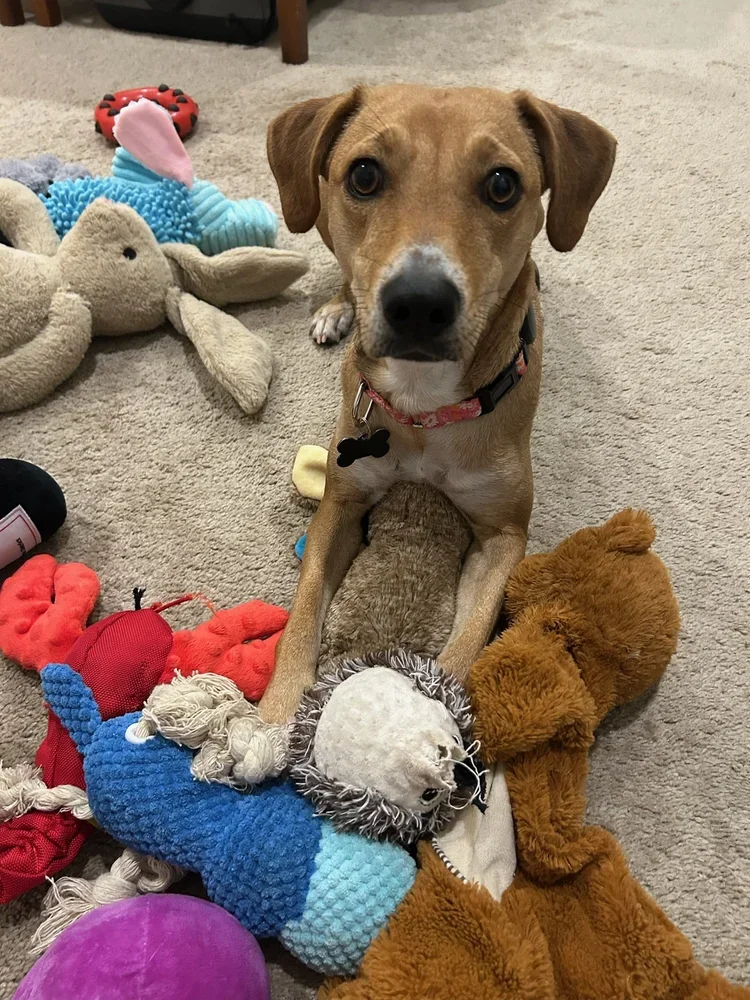 Ruby