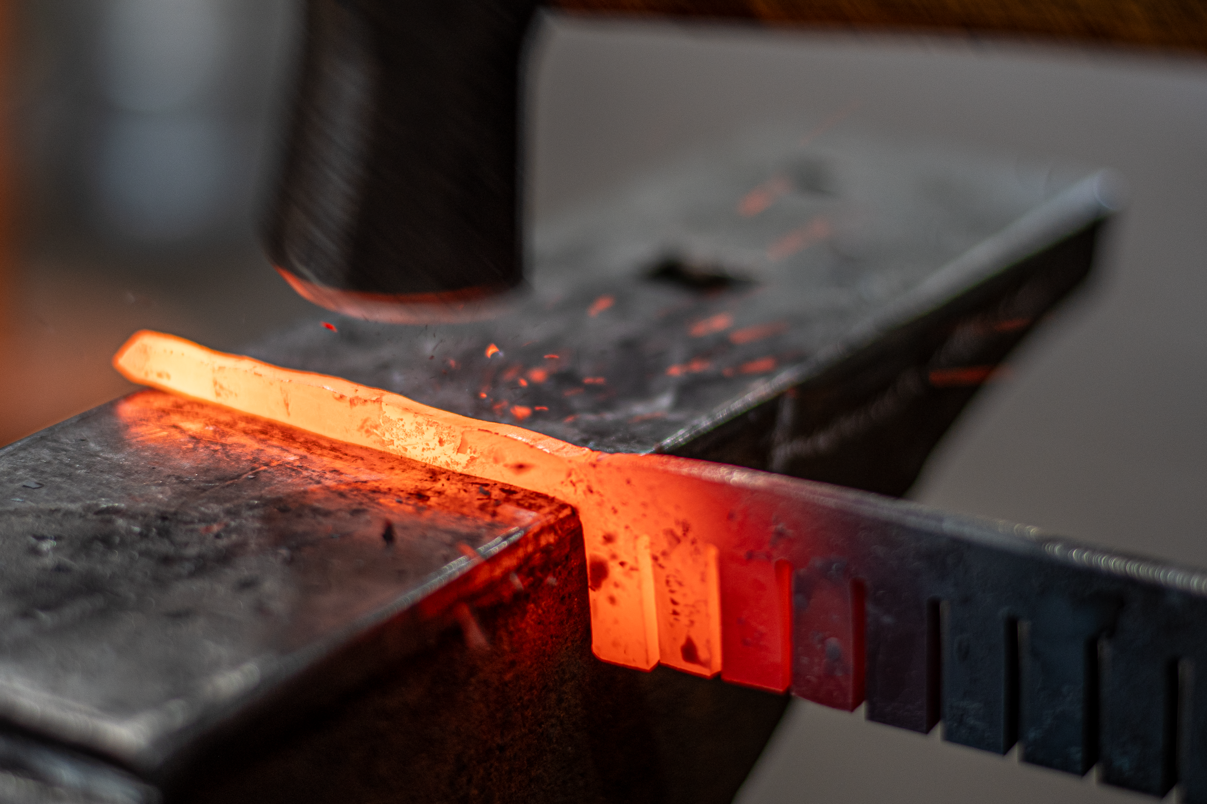 9-14 Sunflowers (25).PNG