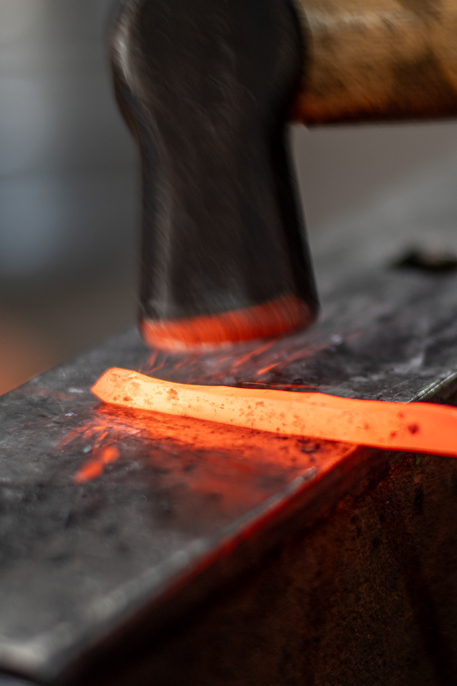 9-14 Sunflowers (30).PNG