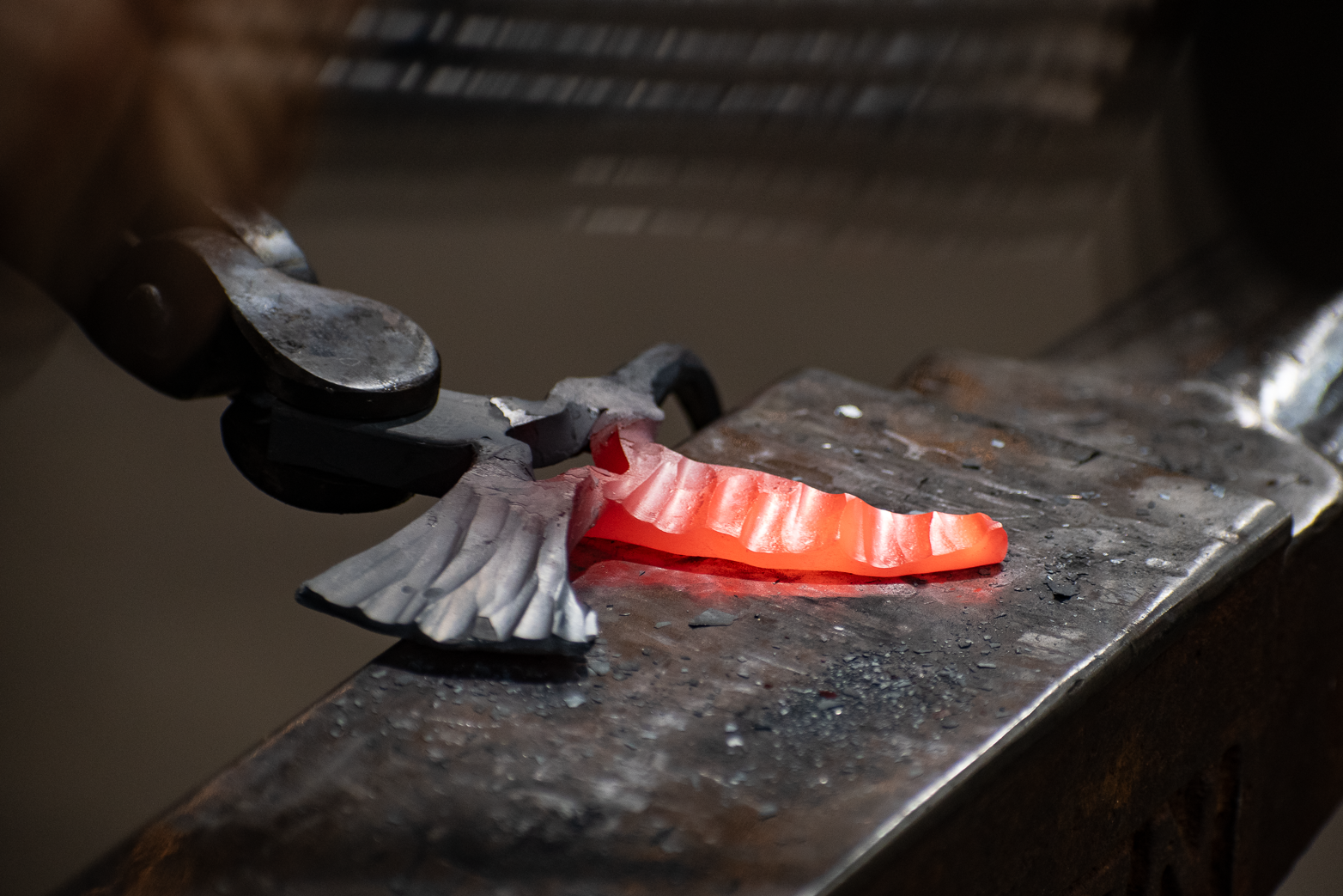 7-20-2025 Hummingbirds (489).PNG