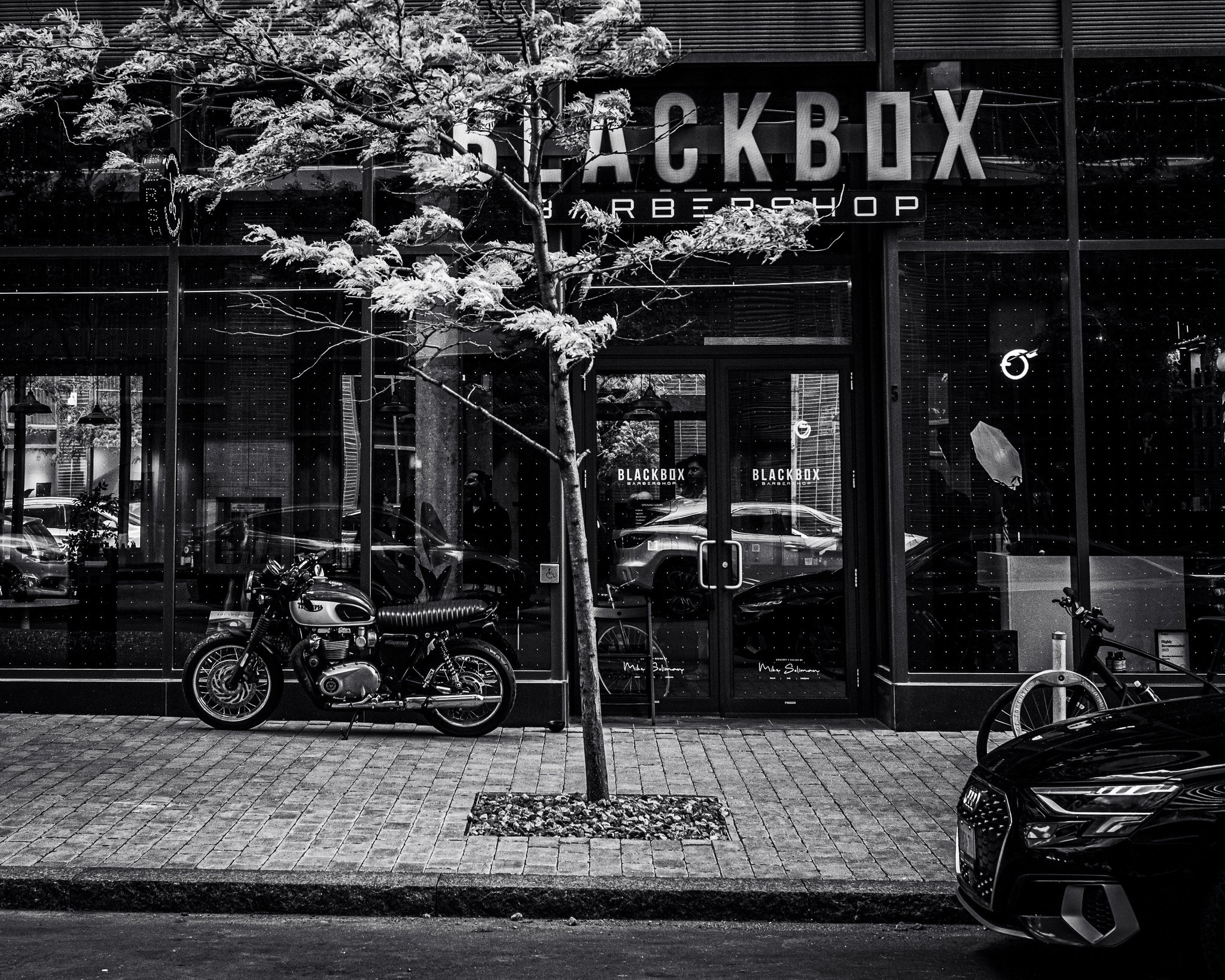 A storefront with large glass windows displaying bicycles inside. A small tree with sparse leaves is in front of the store. The store sign reads 'BLACKBOX BARBERSHOP'.