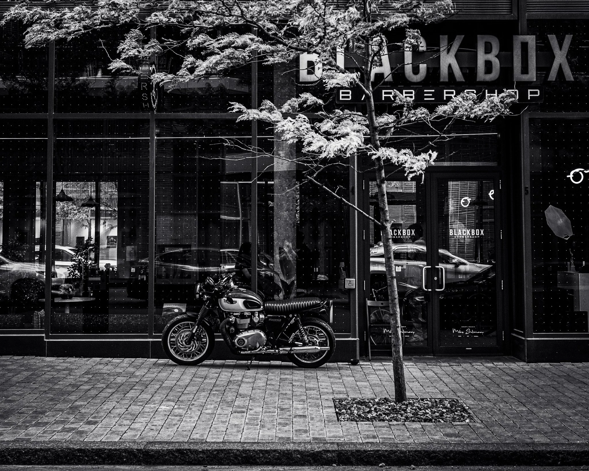 A black and white photo of a motorcycle parked in front of a shop with large glass windows. A small tree with leaves is in the foreground, and the shop sign reads 'BLACKBOX BARBER SHOP.'
