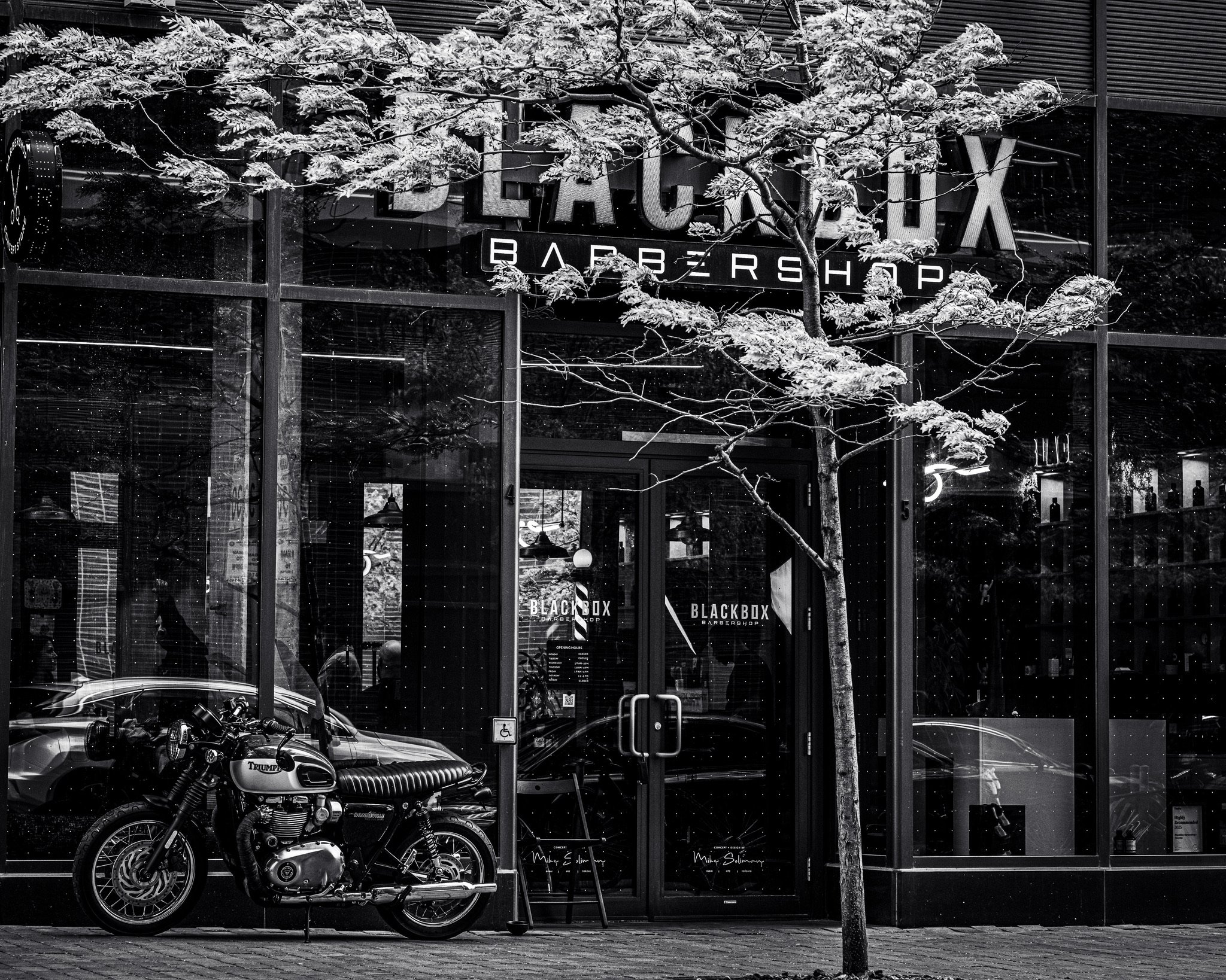 The image shows a storefront with the word BLACKX written on the sign, visible behind a tree with sparse leaves. Inside the store, through the glass windows, various store items and reflections of the street are seen. There is also a motorcycle parke