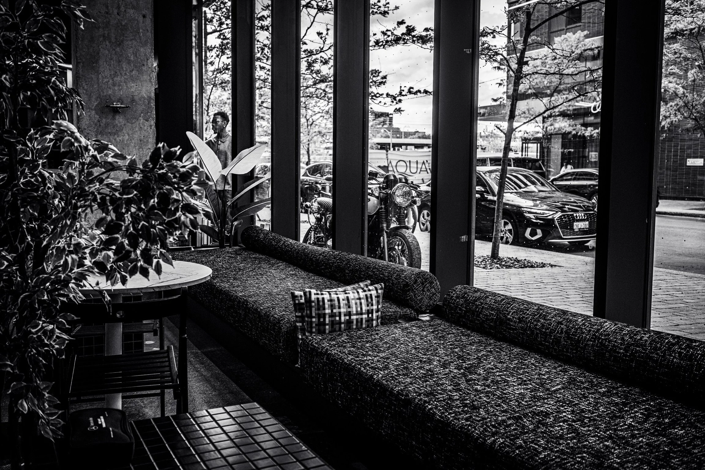 Black and white photo of a cafe interior with a large window overlooking parked cars, motorcycles, and trees outside. Inside, there is a sofa with a checkered pillow, a table, and leafy indoor plants.