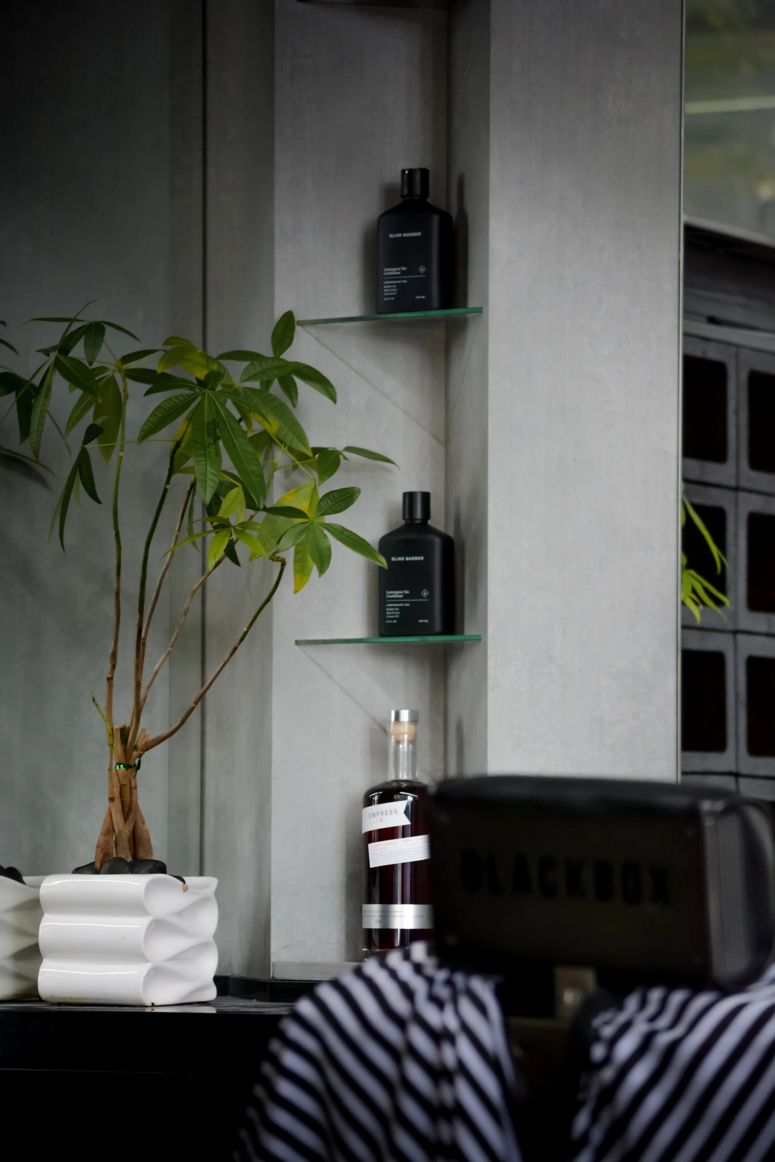 A shot of a modern interior corner with decorative elements including a potted plant, black bottles on glass shelves, a cylindrical white sculpture, and a fire extinguisher against a grey wall.