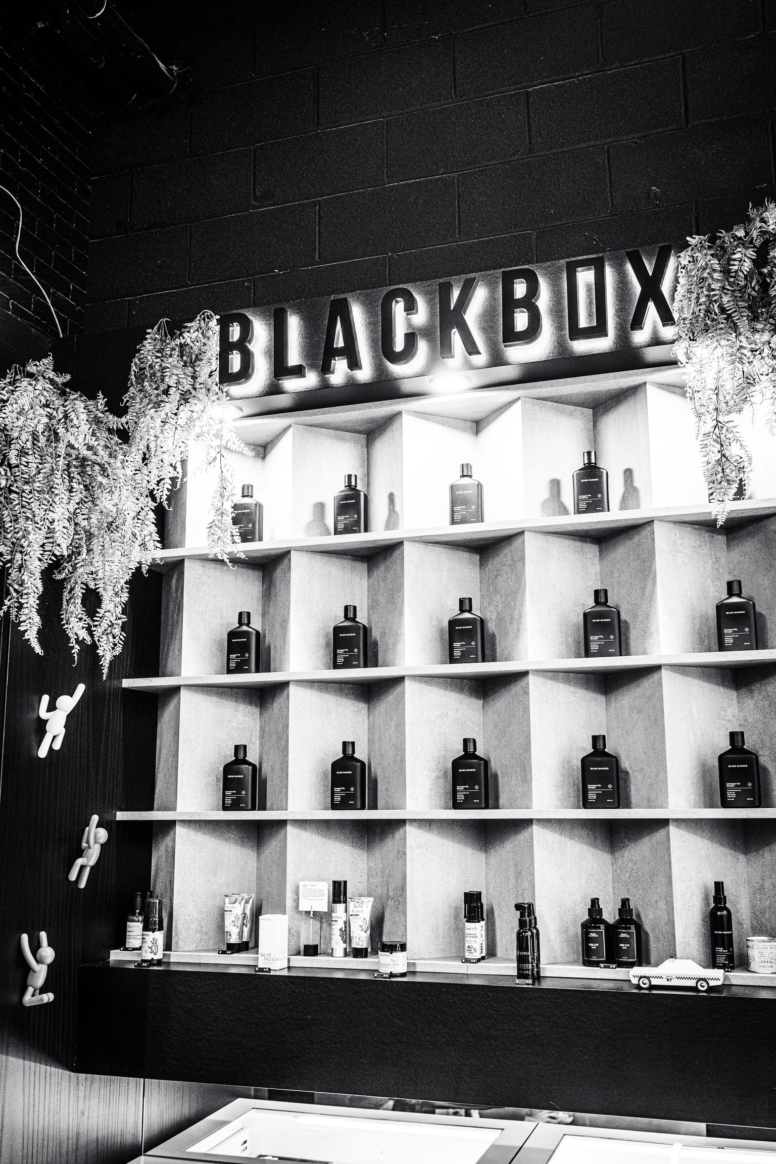 Display shelf with skincare and beauty products framed by plants, with a neon sign reading 'Black Box' above.