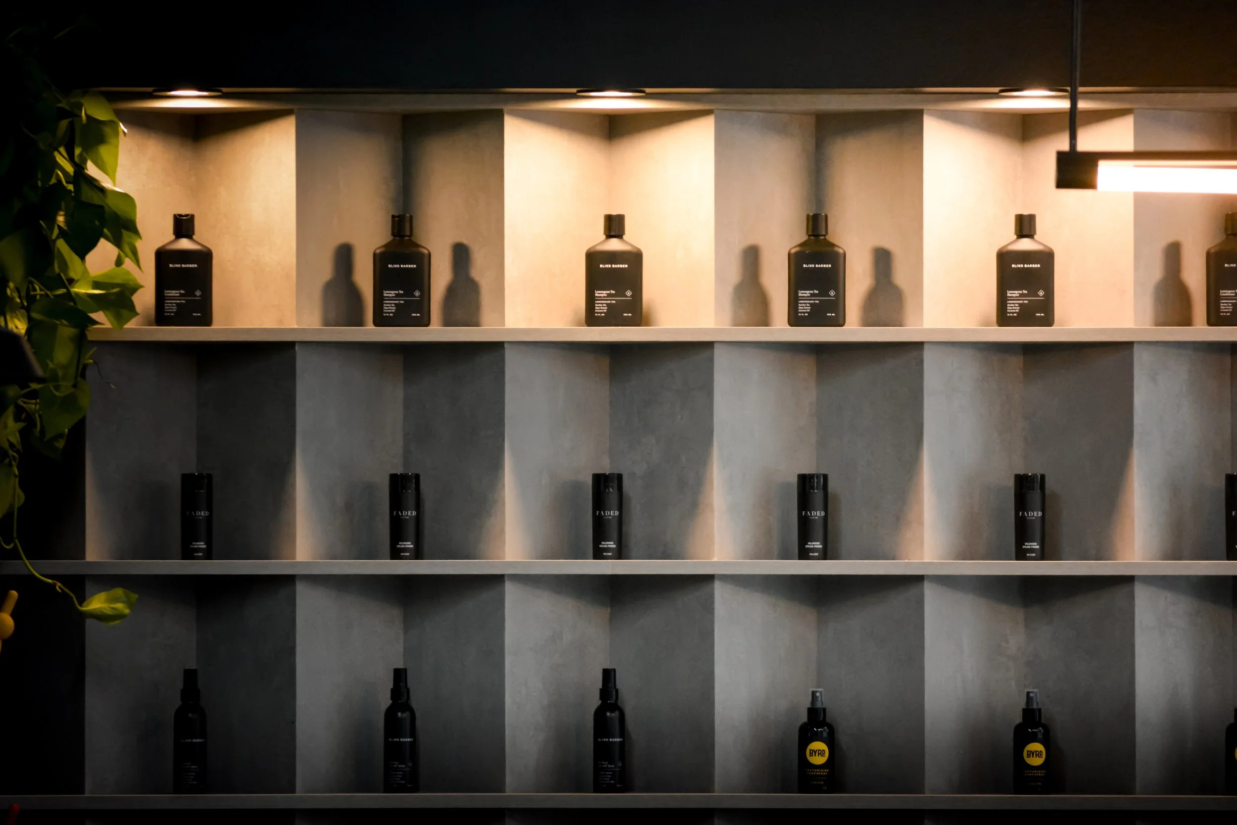 Black bottles displayed on a multi-tiered wooden shelf with overhead lighting and a plant on the side.