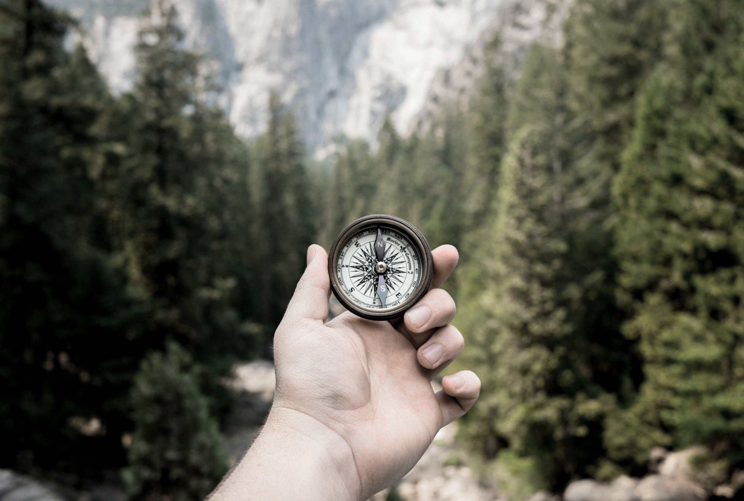The point of purpose