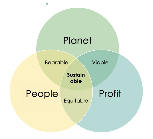 Defining the triple-bottom line