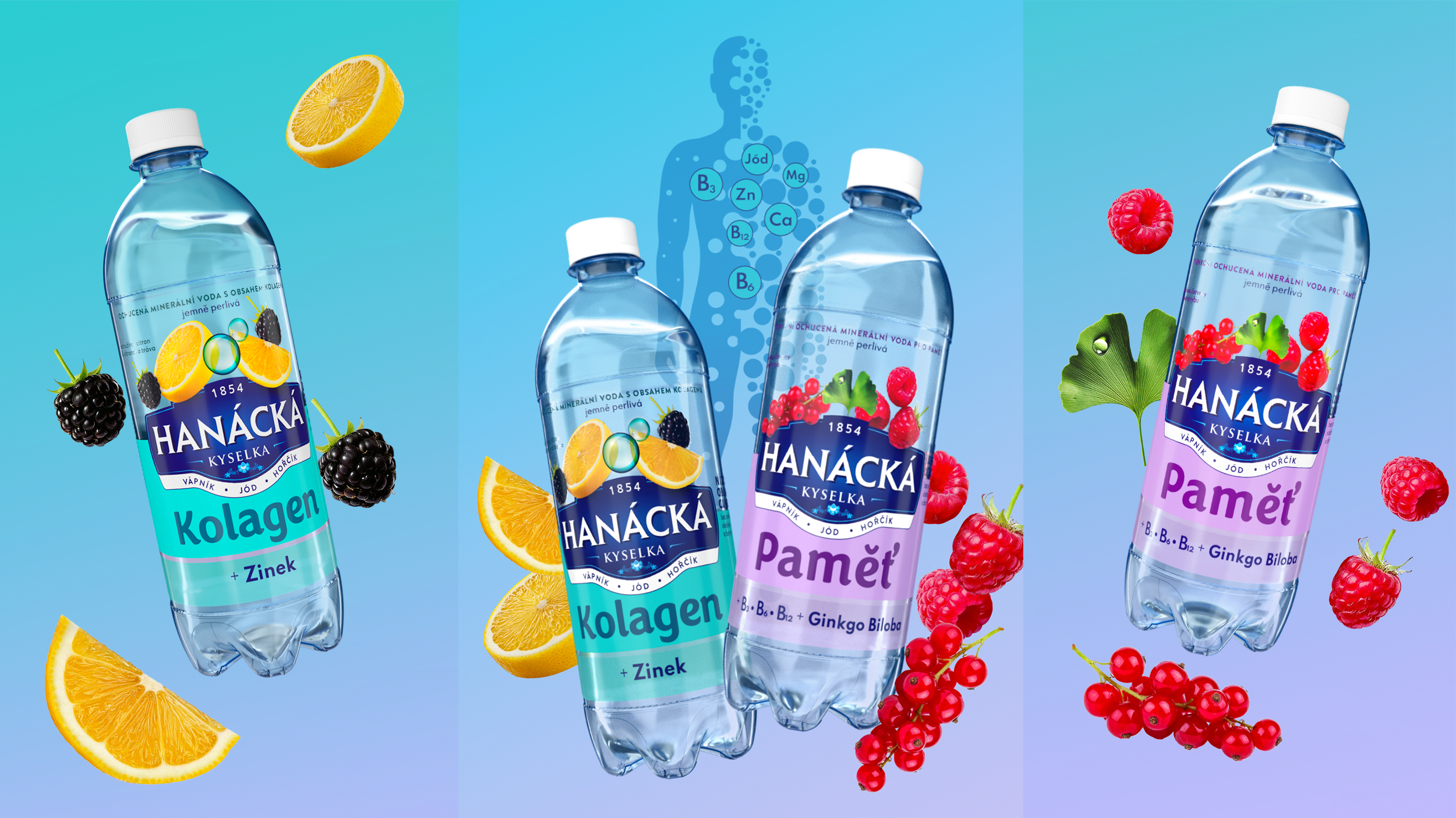 Hanacka_CS_3_Renders_2.png