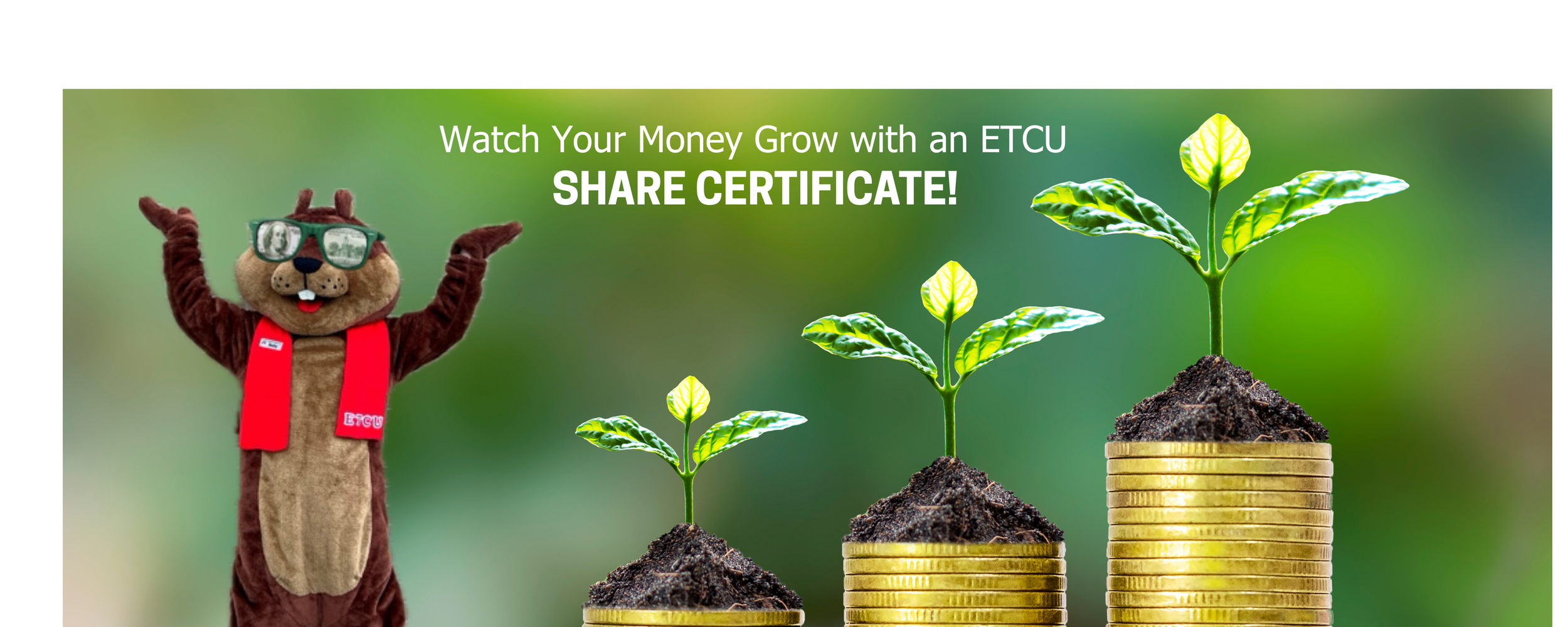 Share Certificate Promo - 4.00% APY!