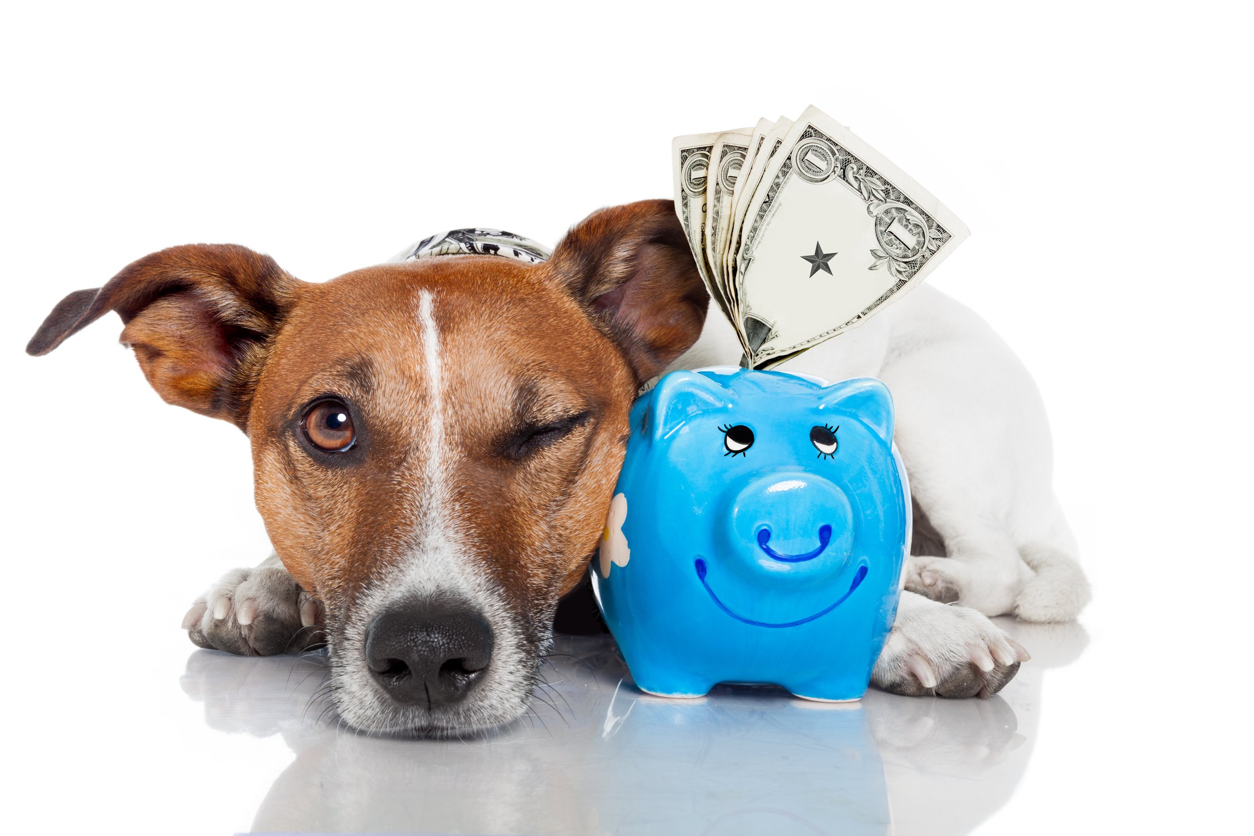 Give Back to Pups & Your Wallet