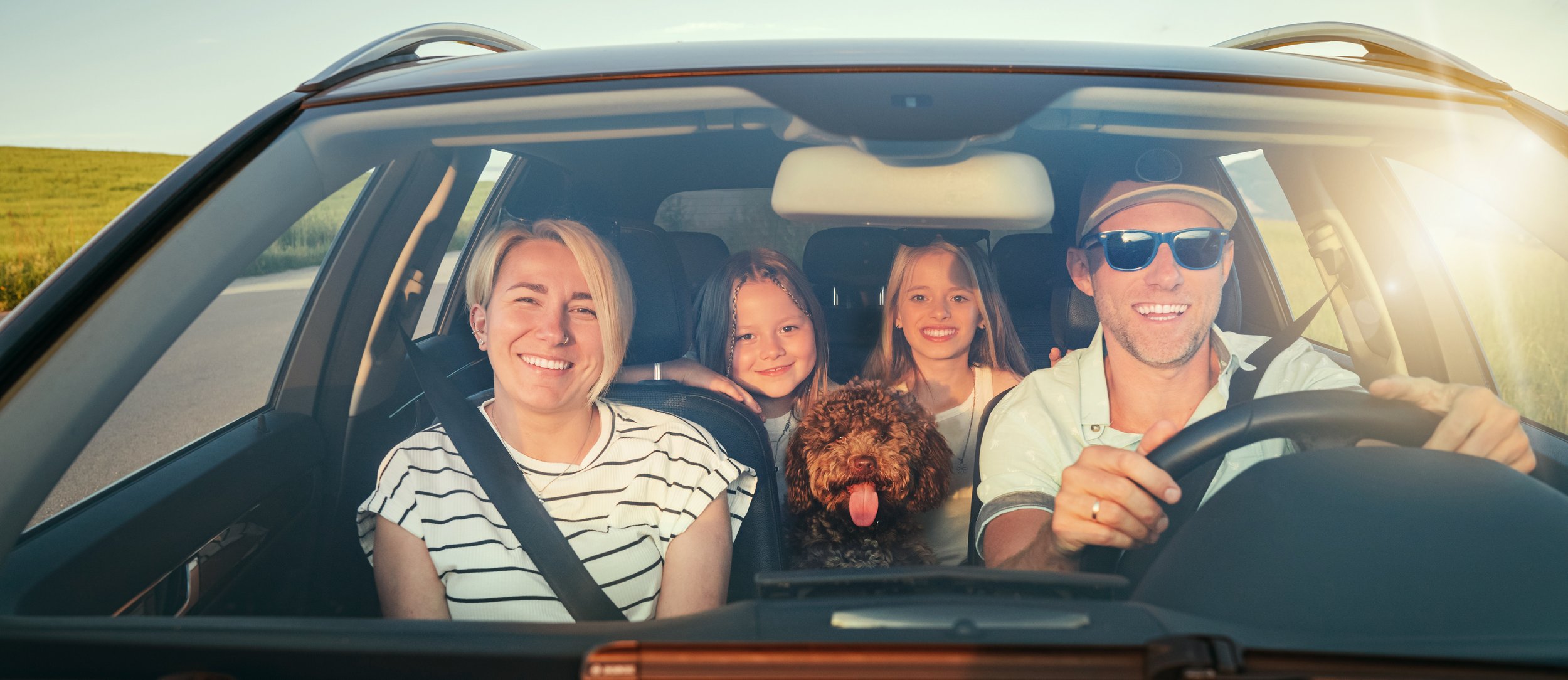 Earn more on checking or save big on your next auto loan.