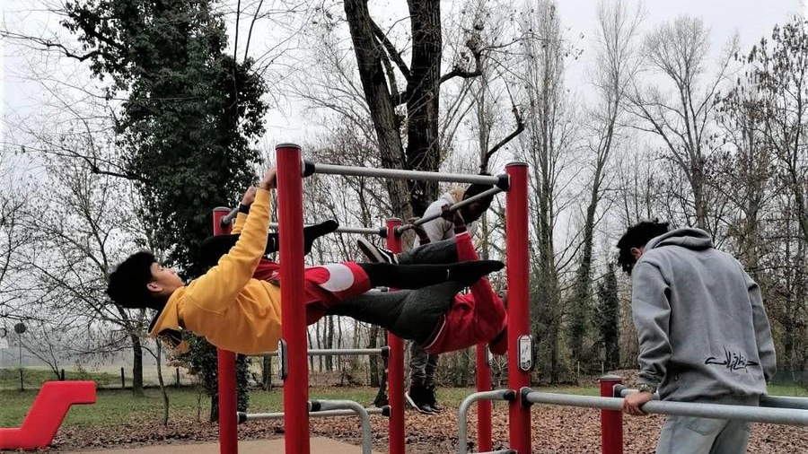 Parco Enza 2.png