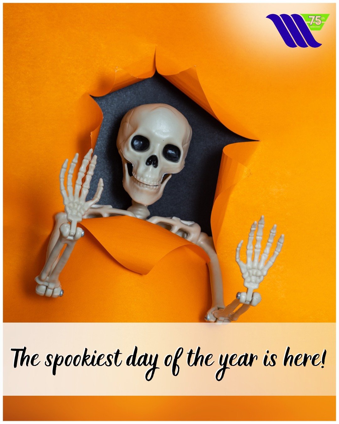 The spookiest day of the year is here! 🎃 

Whether you&rsquo;re carving pumpkins, handing out candy, or enjoying a frightfully fun night, make sure your celebrations are full of joy&mdash;and zero financial scares. 🧟🕸️

👻 Happy Halloween!

#Wichi