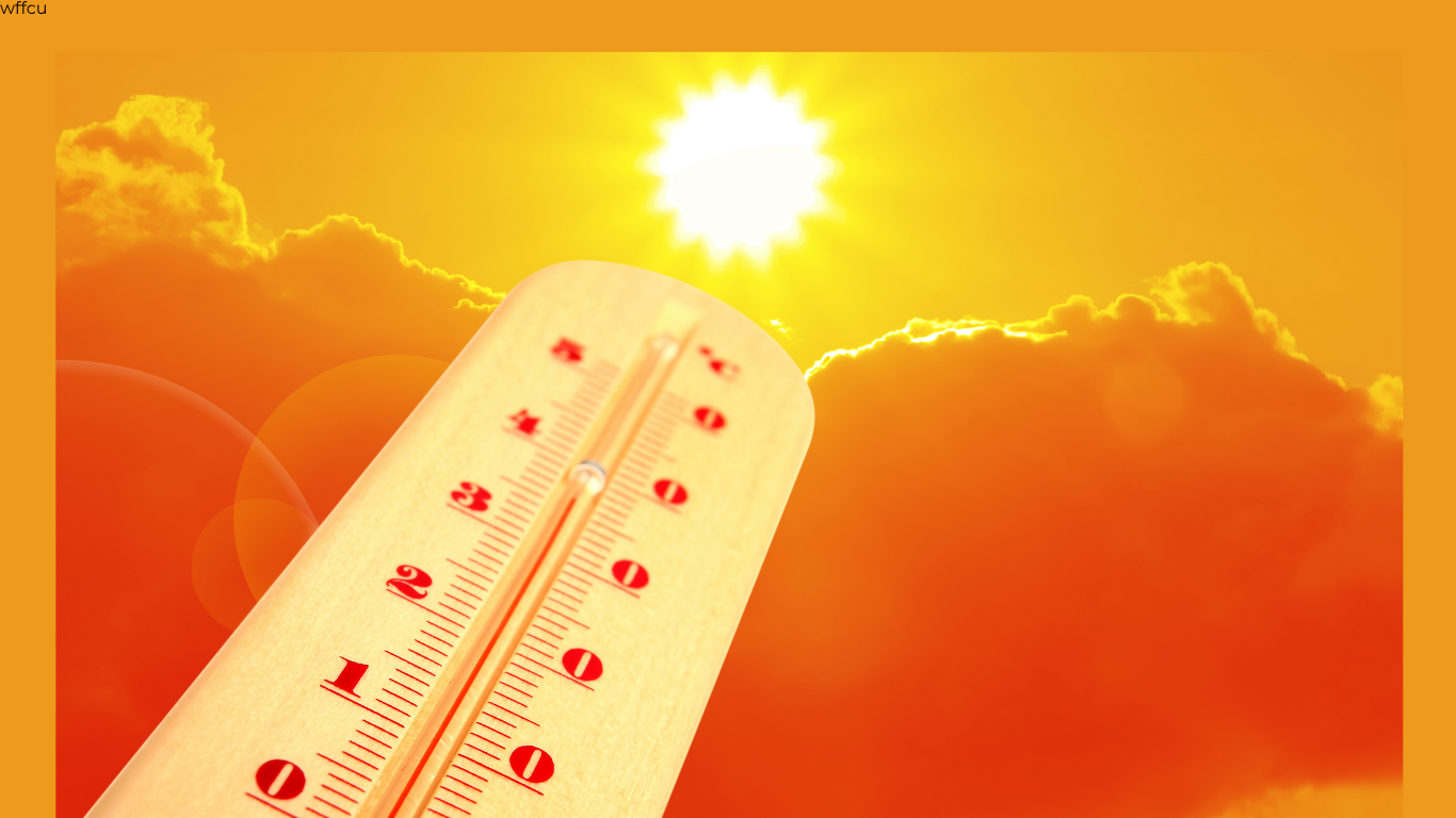 Too Hot to Leave the House?
