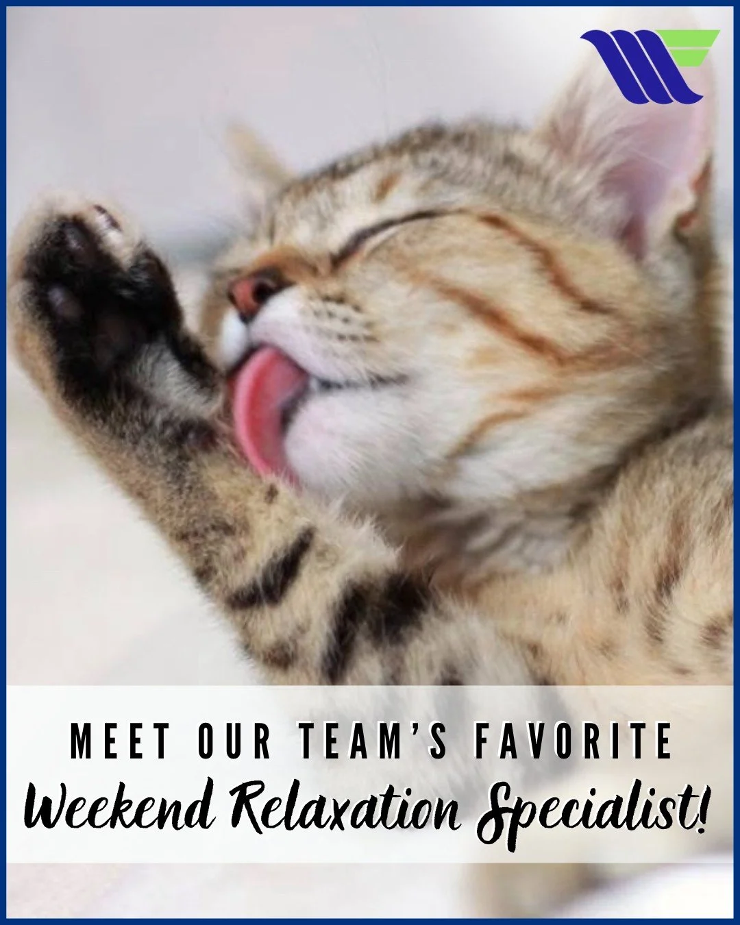 For this Furry Friend Friday, we are stepping away from the member lobby and spotlighting a very special member of our team&rsquo;s household! 🐱 💙 Meet Hazel, the official "Weekend Relaxation Specialist" 🐾☀️ Hazel loves taking long naps,