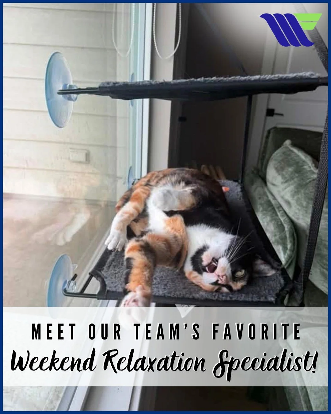Your Friday feed just got 100% sweeter! 🐶🐾

For this #FurryFriendFriday, we are stepping out of the lobby to introduce Myra, the official weekend relaxation specialist! ☀️✨ Myra excels at sunbathing, testing treat quality, and making sure our team 