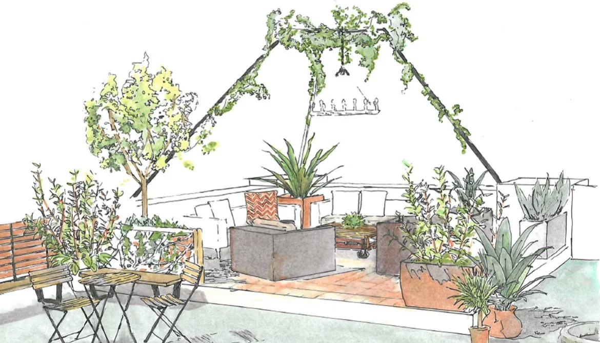 Rooftop terrace.jpg