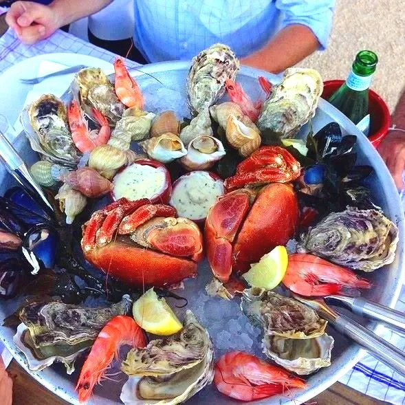 tasting of seafood on a private boat cruise & tasting on canal du midi