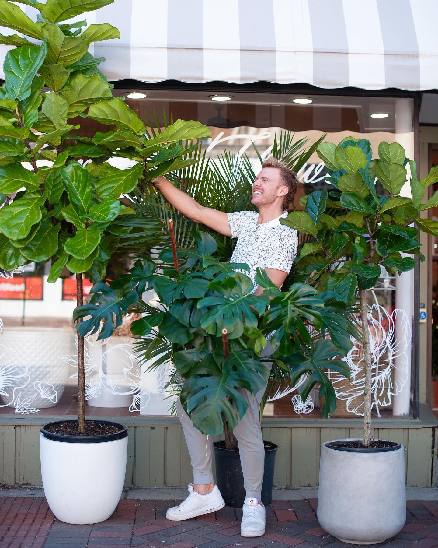Warmer days means a fresh restock in large tropical plants!!! We got everything from stunning monsteras and bird of paradise to 9 ft fiddle leaf trees! Come on in and we can help you evaluate your lighting conditions and find the perfect fit. No hous