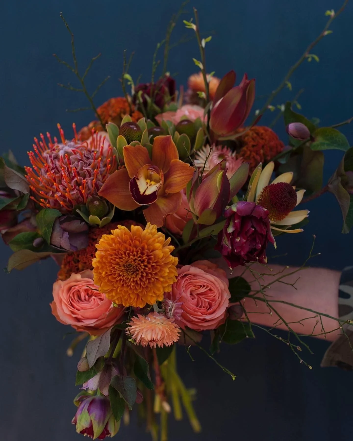 Current crushes:
🧡 Peach-toned roses
🧠 Curly, weird, chunky celosia
🦜 Multi-colored tropicals

Fall is in the air! 🍂 
...
#SavilleFlowers #EvanstonFlorist #ChicagoFlorist #NorthShoreFlorist #FallFlowers