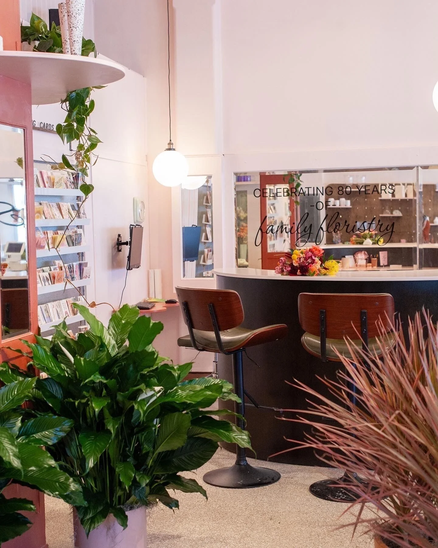 Winter houseplant tips from Team Saville:

❄️ When it gets below 50, bring them in swiftly!
When nighttime temps dip below 50 degrees, bring your potted houseplants inside for the season. They may survive one or two brisk nights no problem, but espec