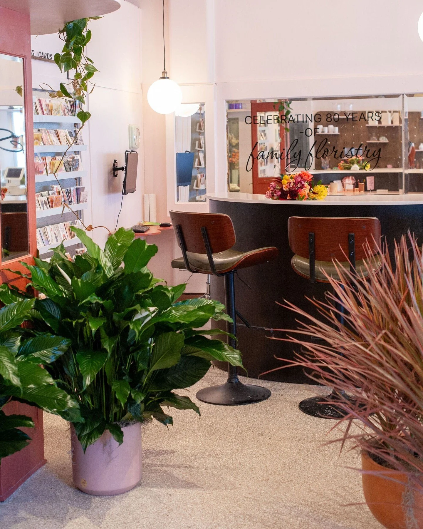 It's National Plant a Flower Day, and while it's still too cold in the Evanston/Chicago area to plant much outside, it's a great time to start seeds indoors. 🌱 

We've got a few lavender seed starter kits in the shop, plus lots of beautiful housepla