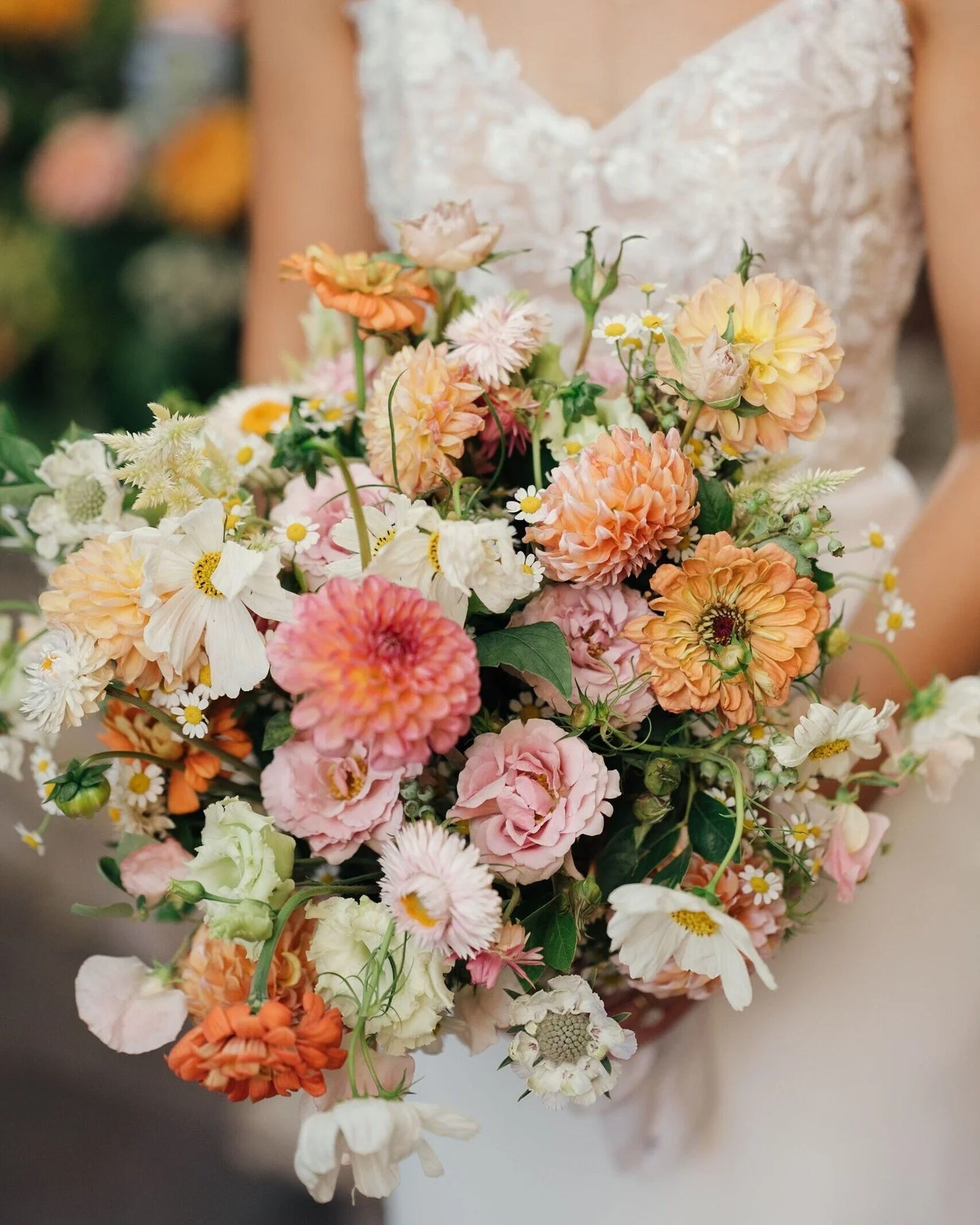 ⭐⭐⭐⭐⭐ "Mark and his team supplied flowers for my wedding and exceeded perfection. Every arrangement was unbelievably stunning. They truly brought my vision to life. Thank you!!!!!" - Jessica, Google review

We're currently booking weddings 