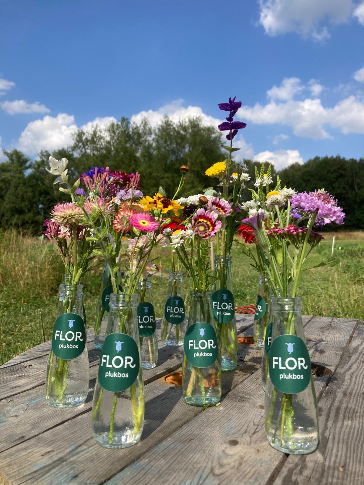 WhatsApp Image 2025-08-11 at 17.07.46.jpeg