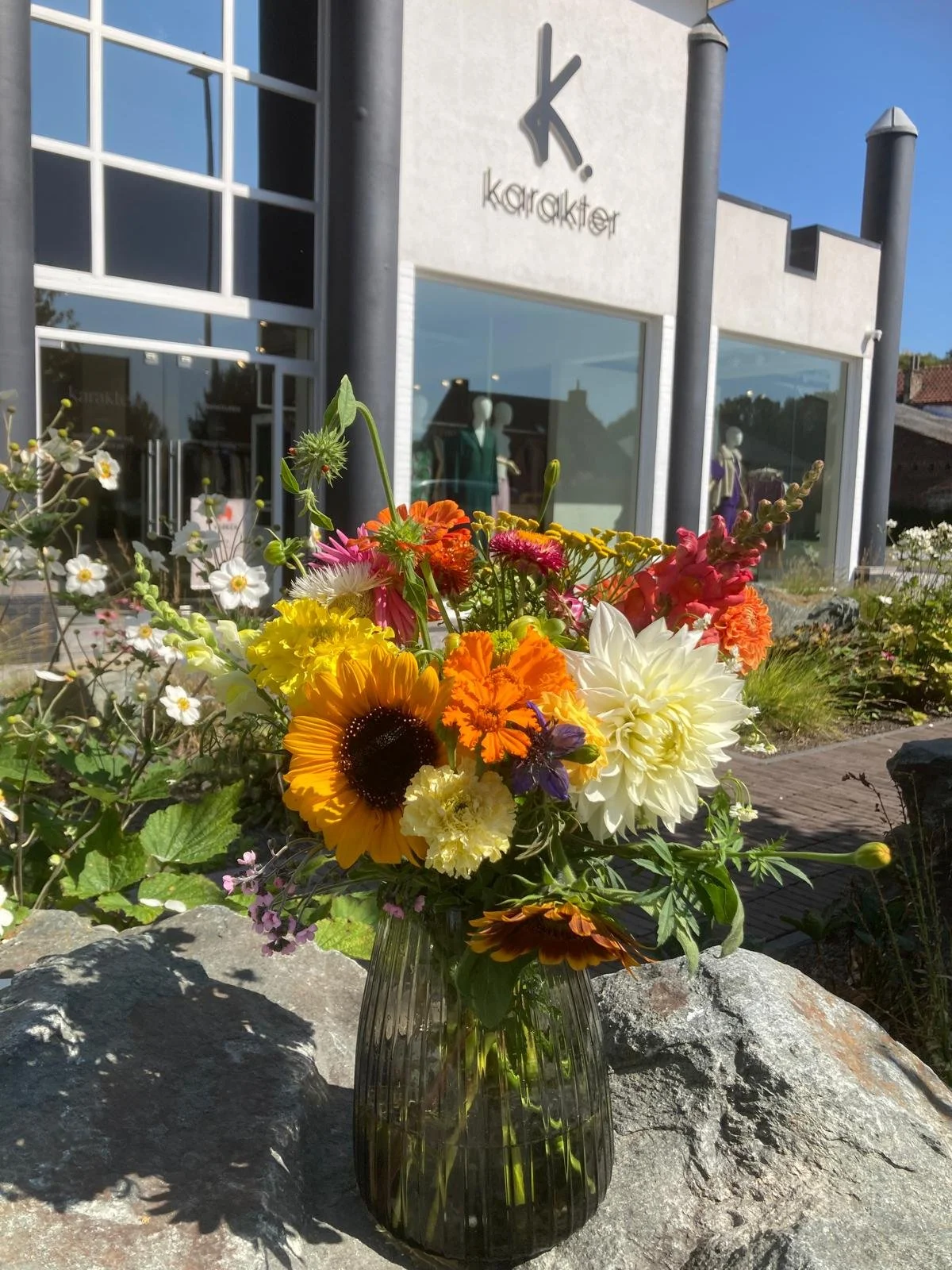 WhatsApp Image 2025-08-11 at 17.35.22.jpeg