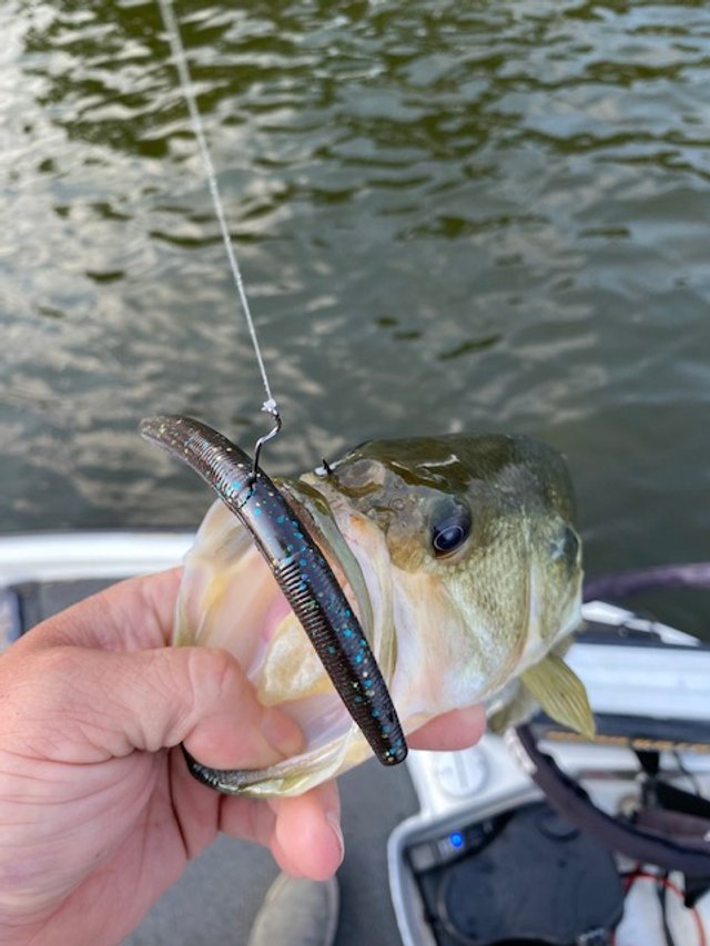 IMG_2778.jpg