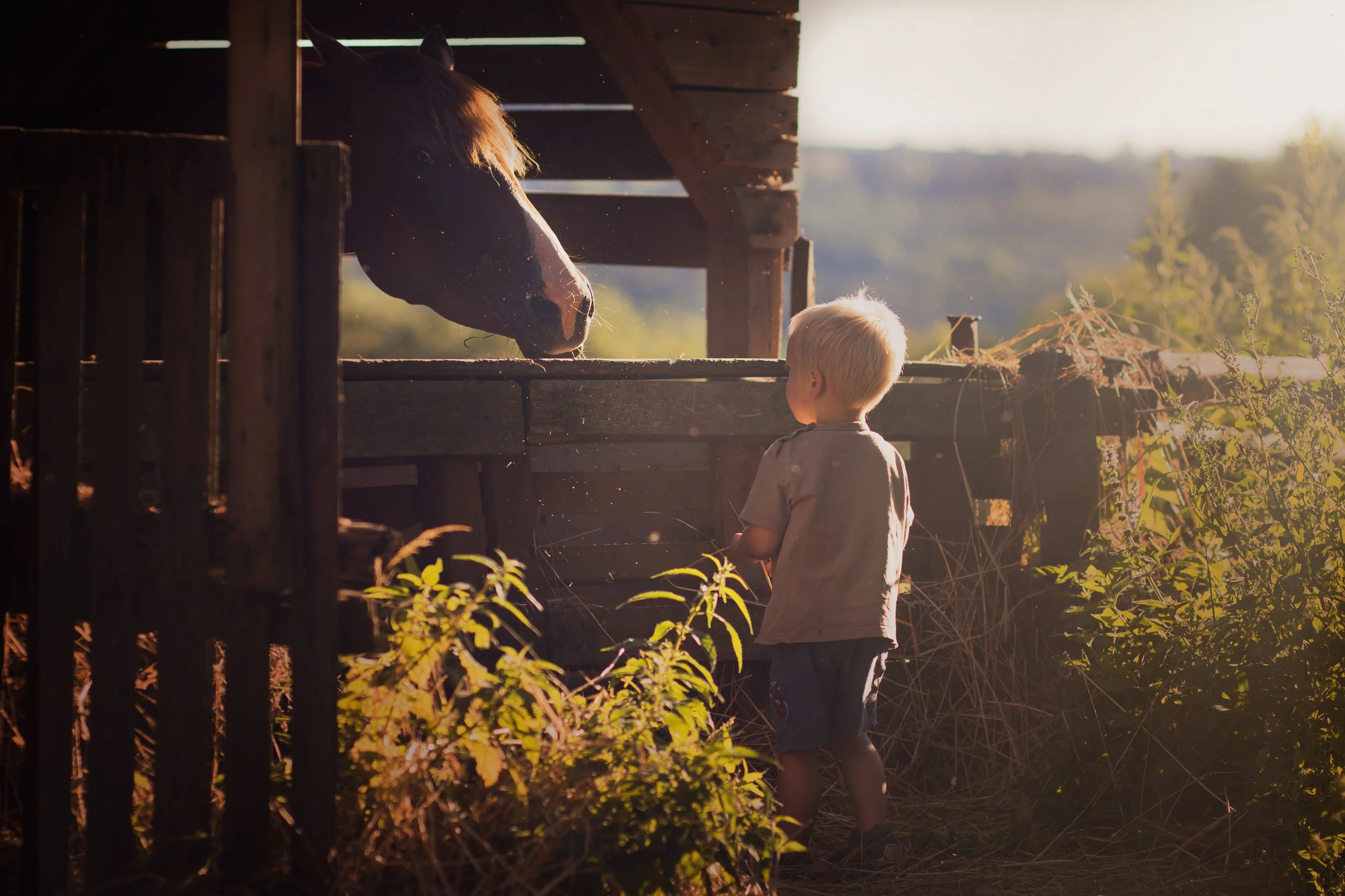 Durham Farm & Family Resources