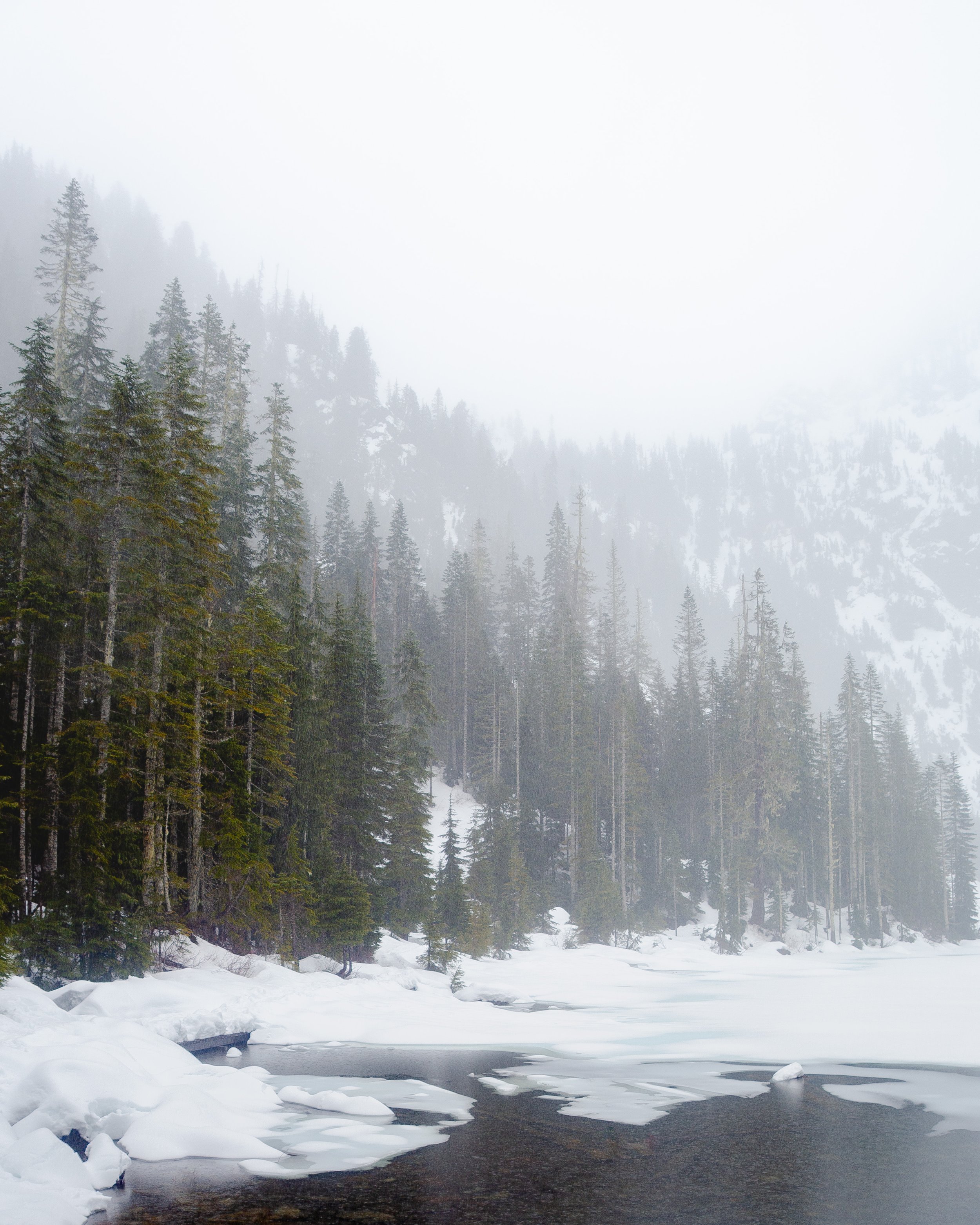 Lake 22 & Forest.jpg