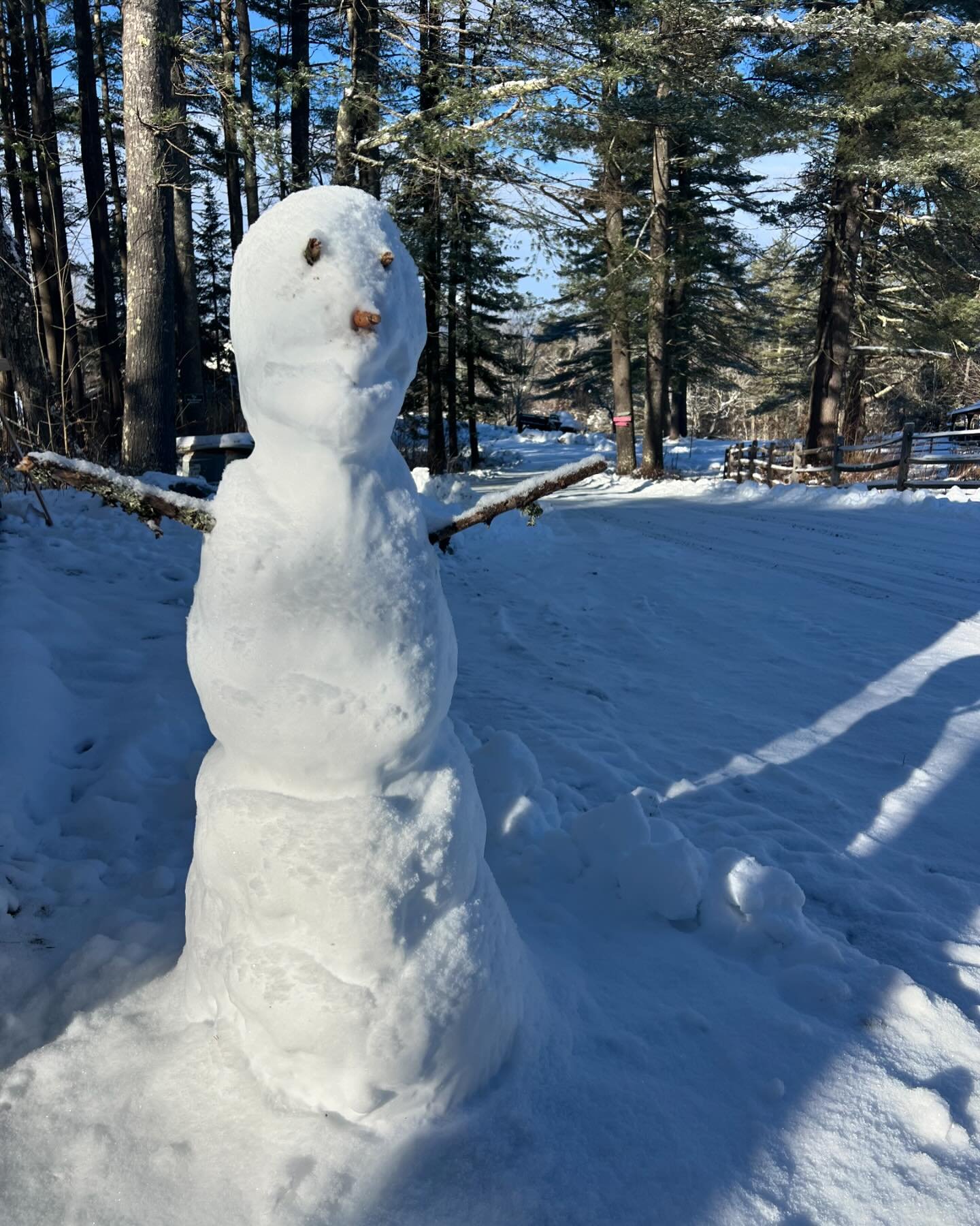 Sending love from Frosty!! 🙏☃️❄️ 🫶