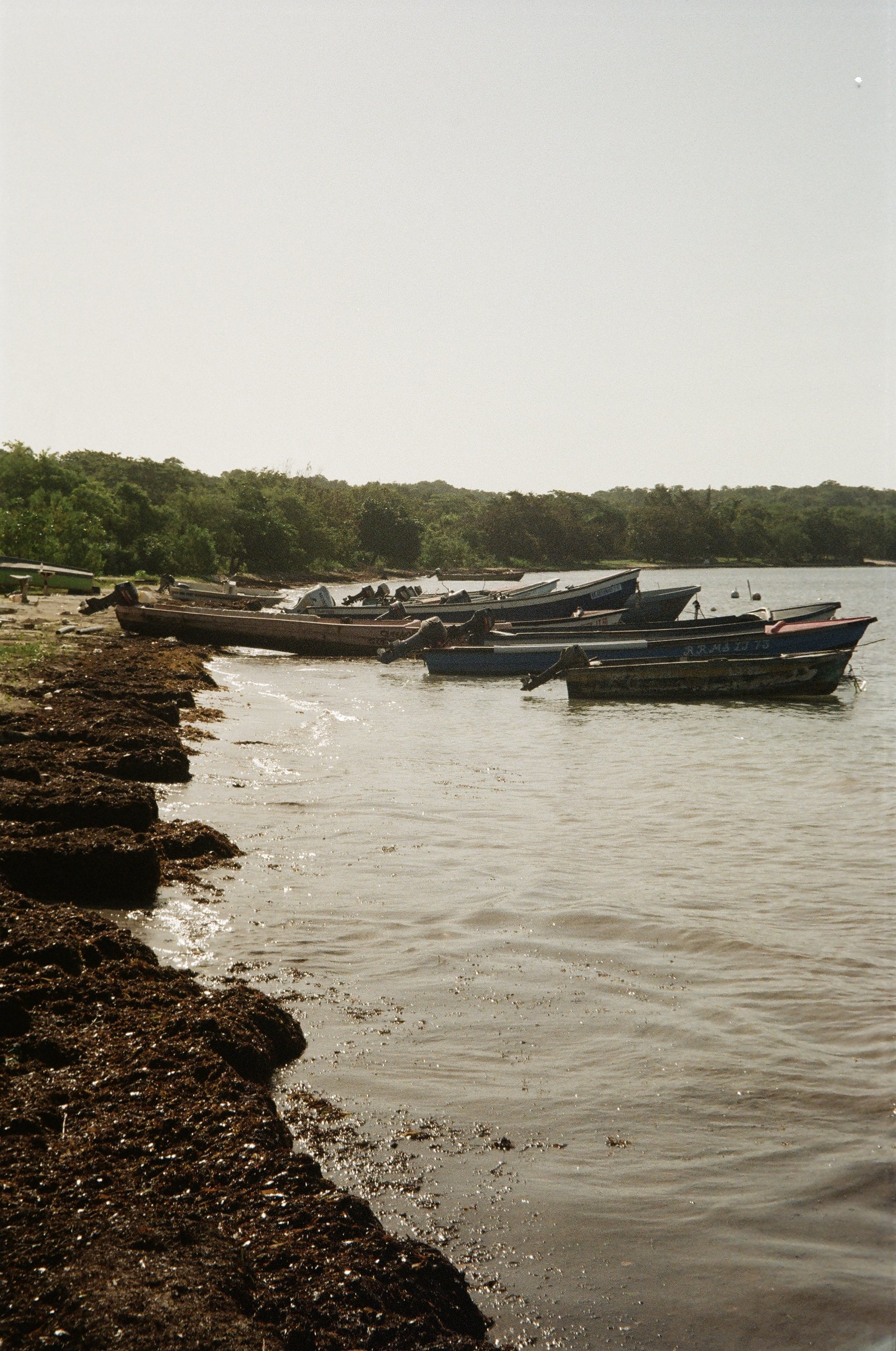 970E8652-F5B2-4DD1-9DE5-C54A3B7B4D2B.jpg