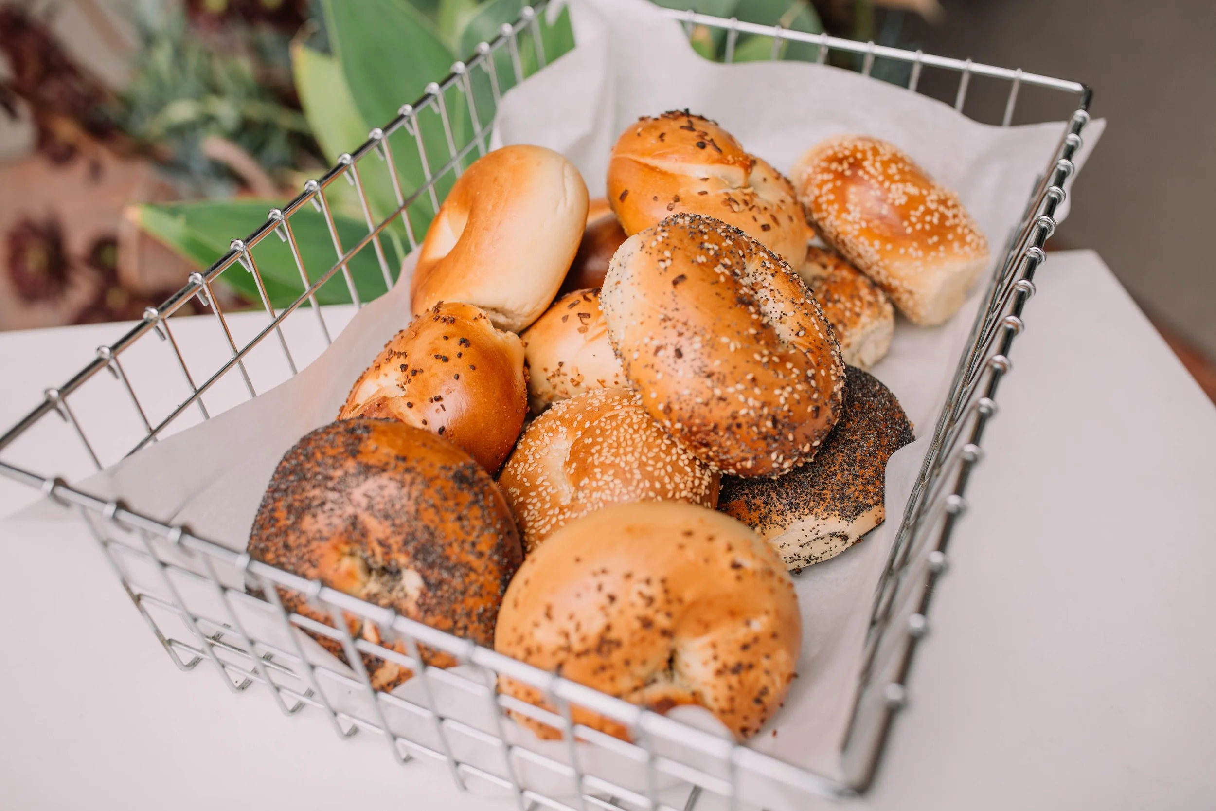 Dozen Bagels.jpg