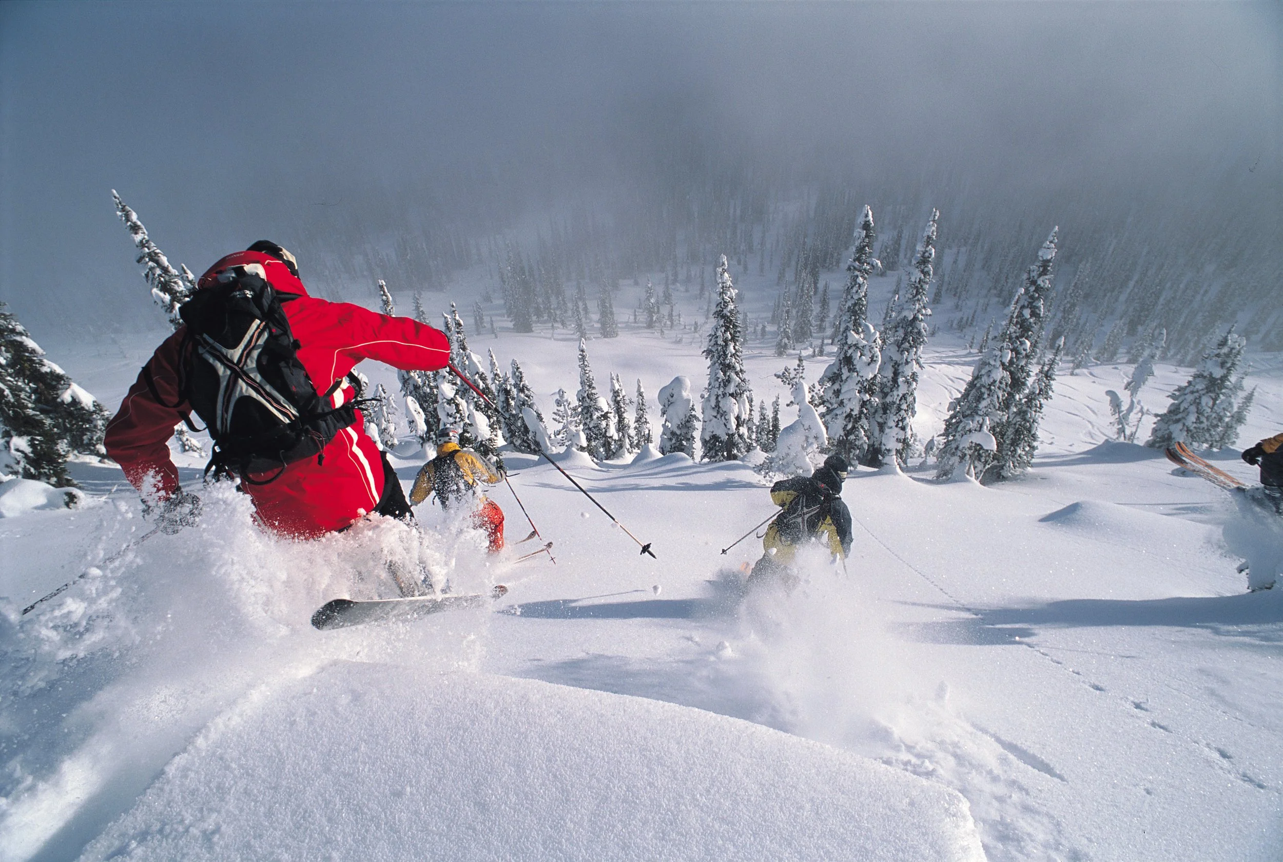 Copie de DF_01027.jpg