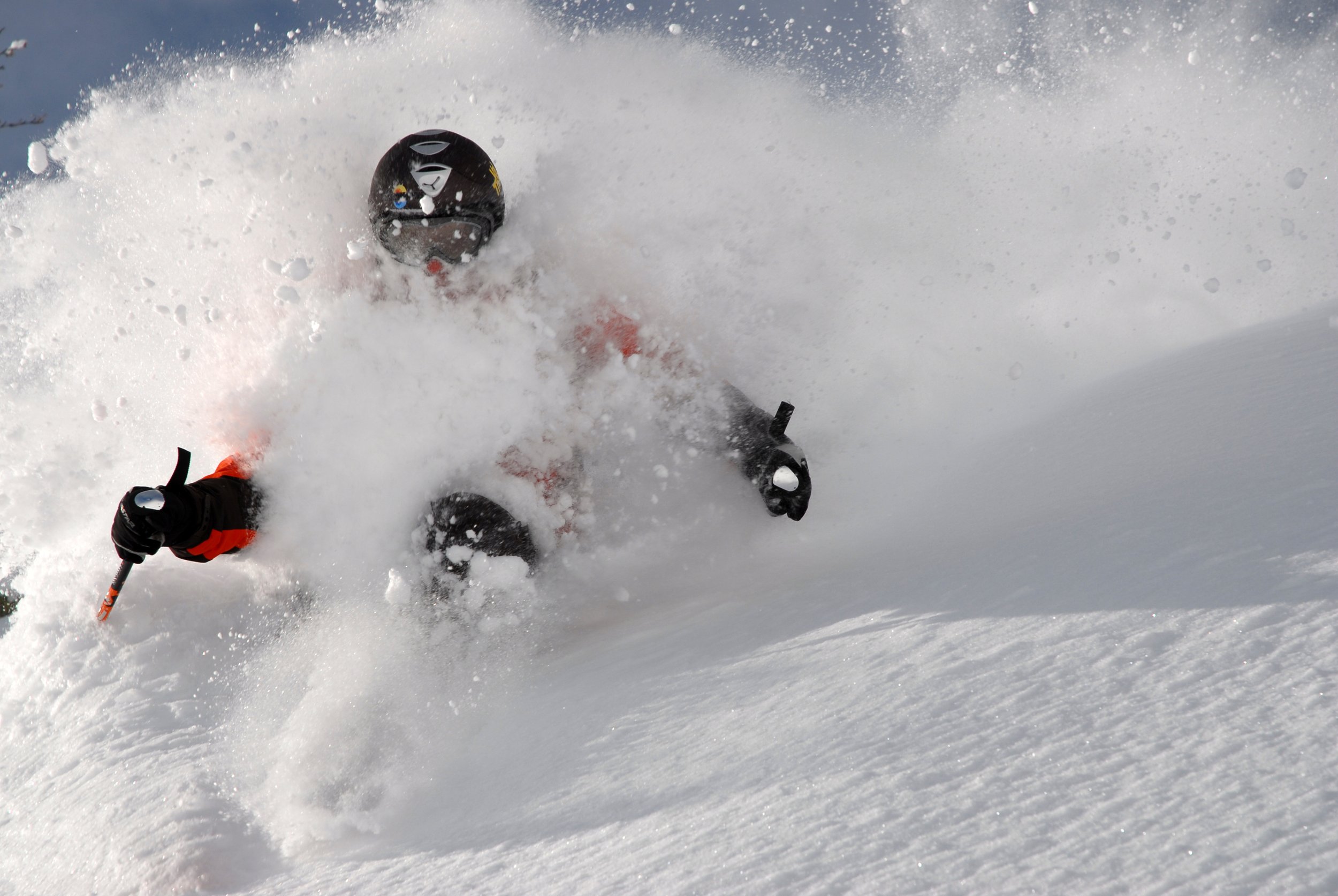 Copie de DSC_2144.JPG