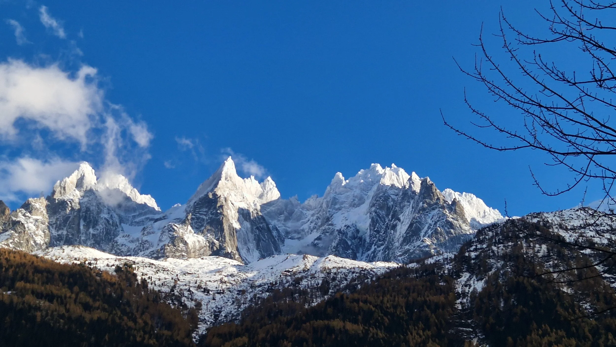 Copie de 20231116_151941.jpg