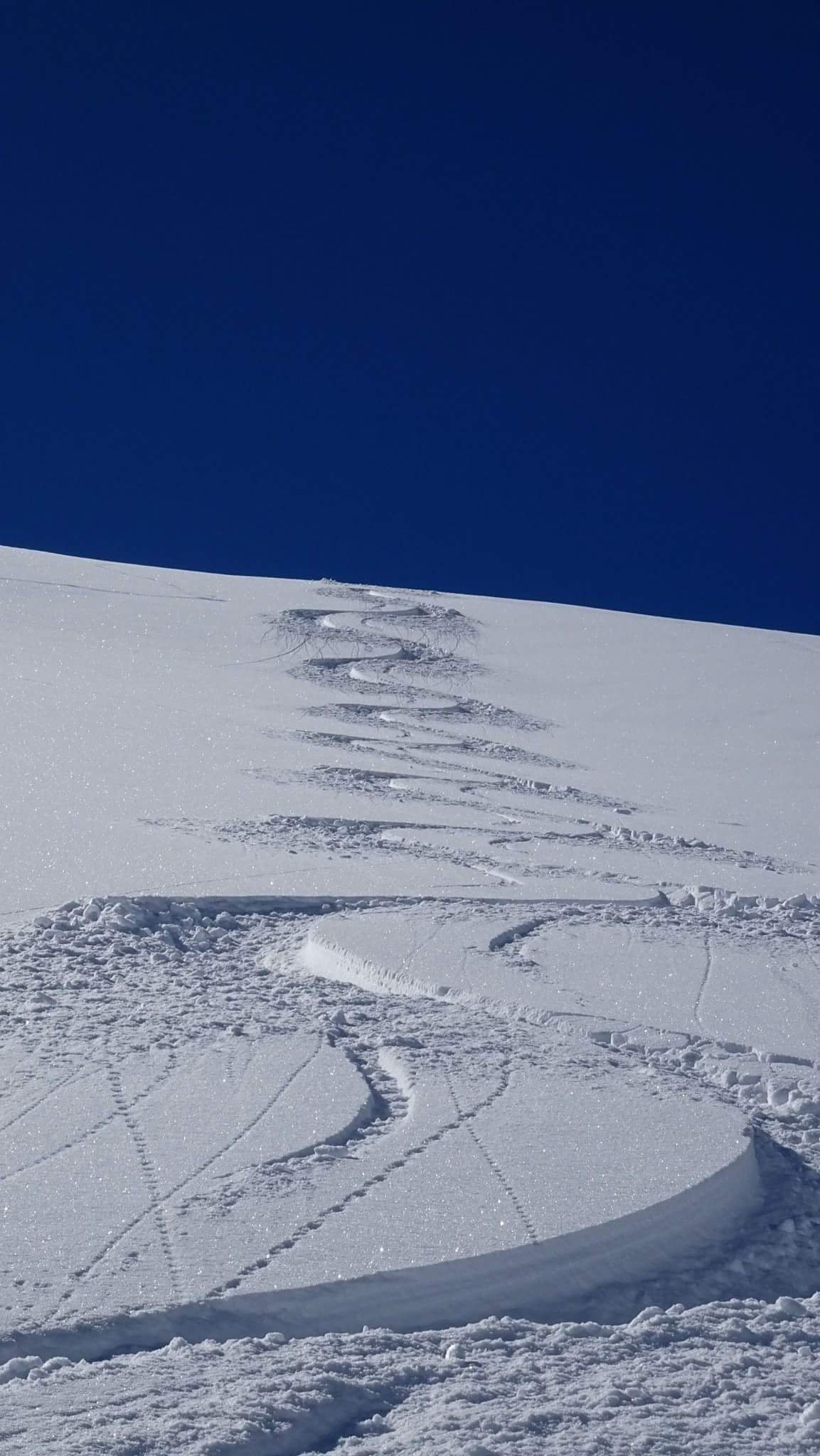 Copie de FB_IMG_1513630825933.jpg