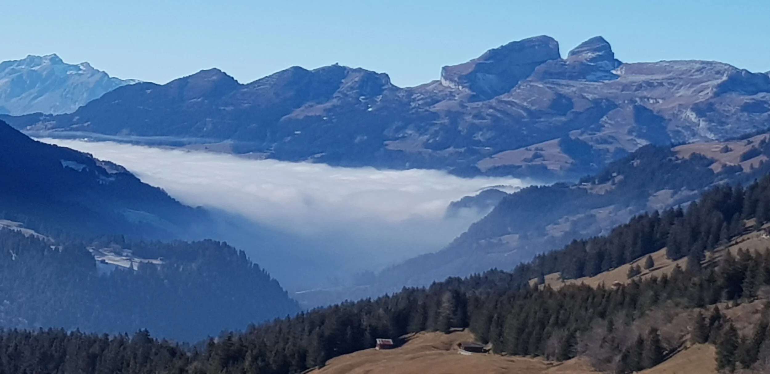 Copie de 20201130_124529.jpg