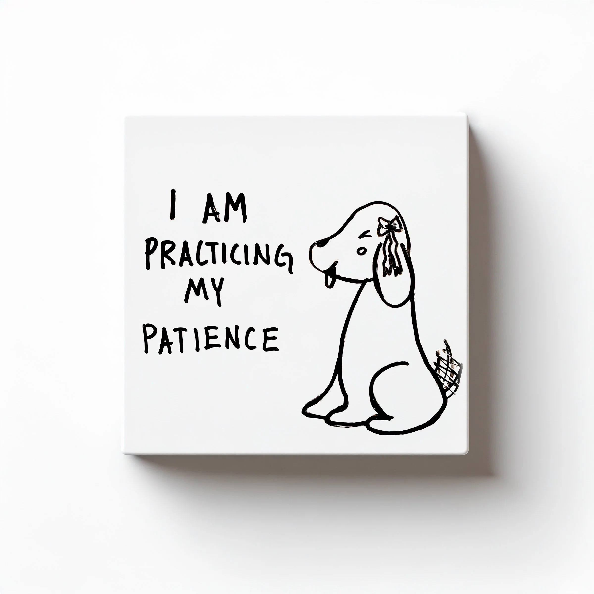 I AM PRACTICING MY PATIENCE