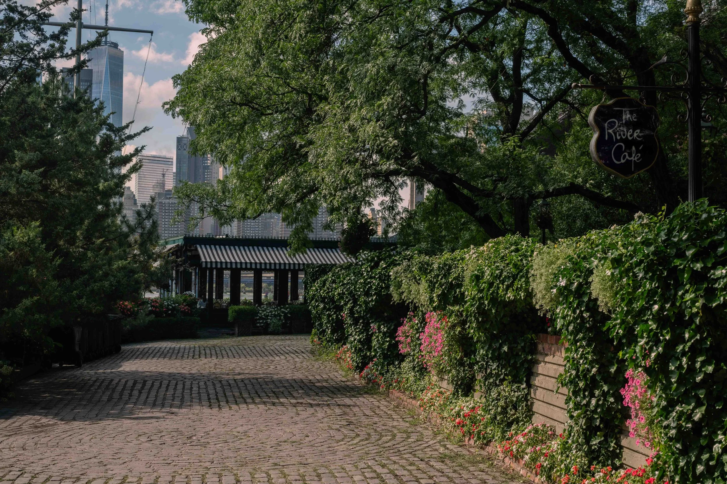 Expecting the Unexpected: How Spontaneity Leads to the Best Photos